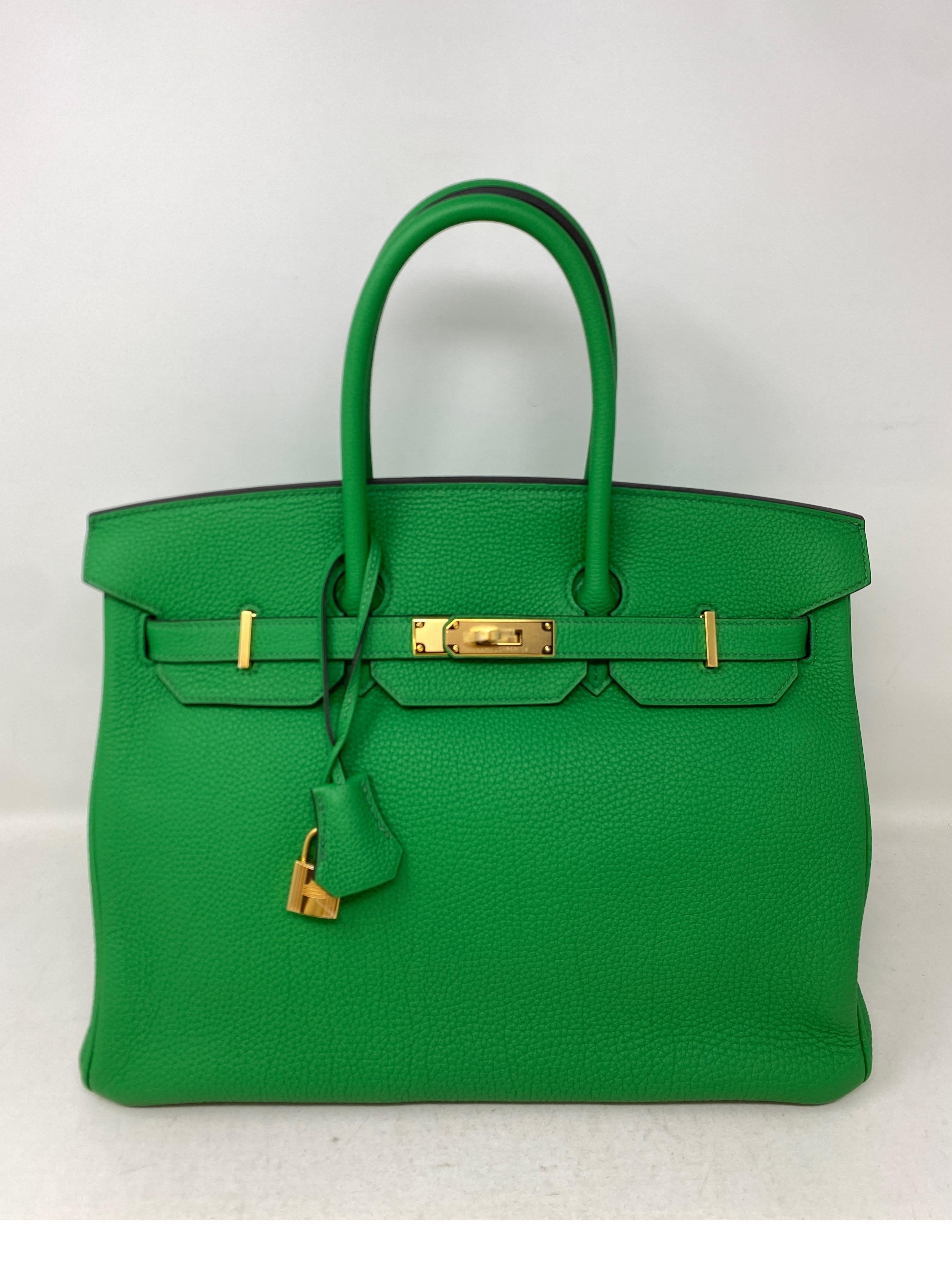 Hermes Bamboo Birkin 35 Bag 11