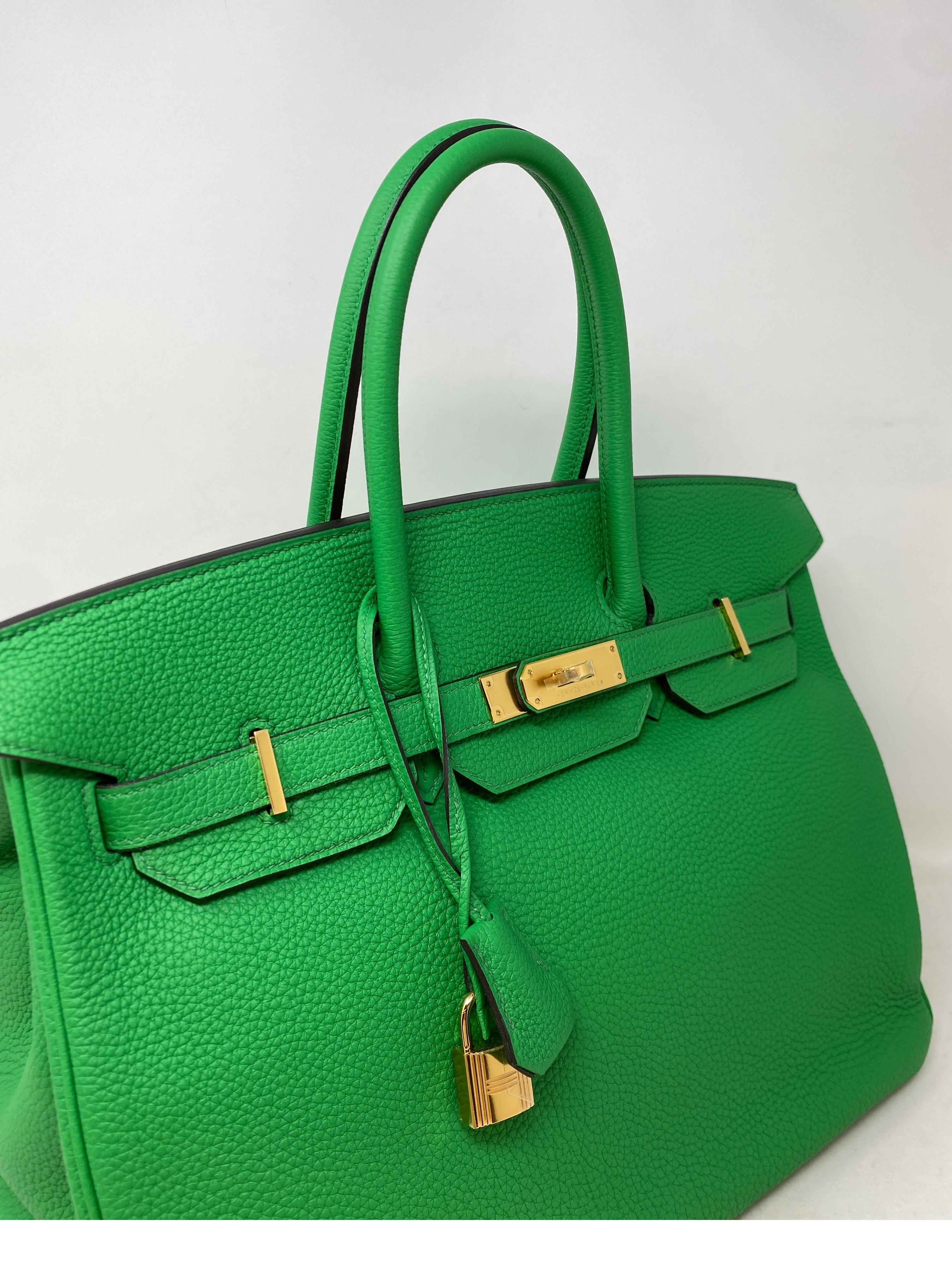 Hermes Bamboo Birkin 35 Bag 12