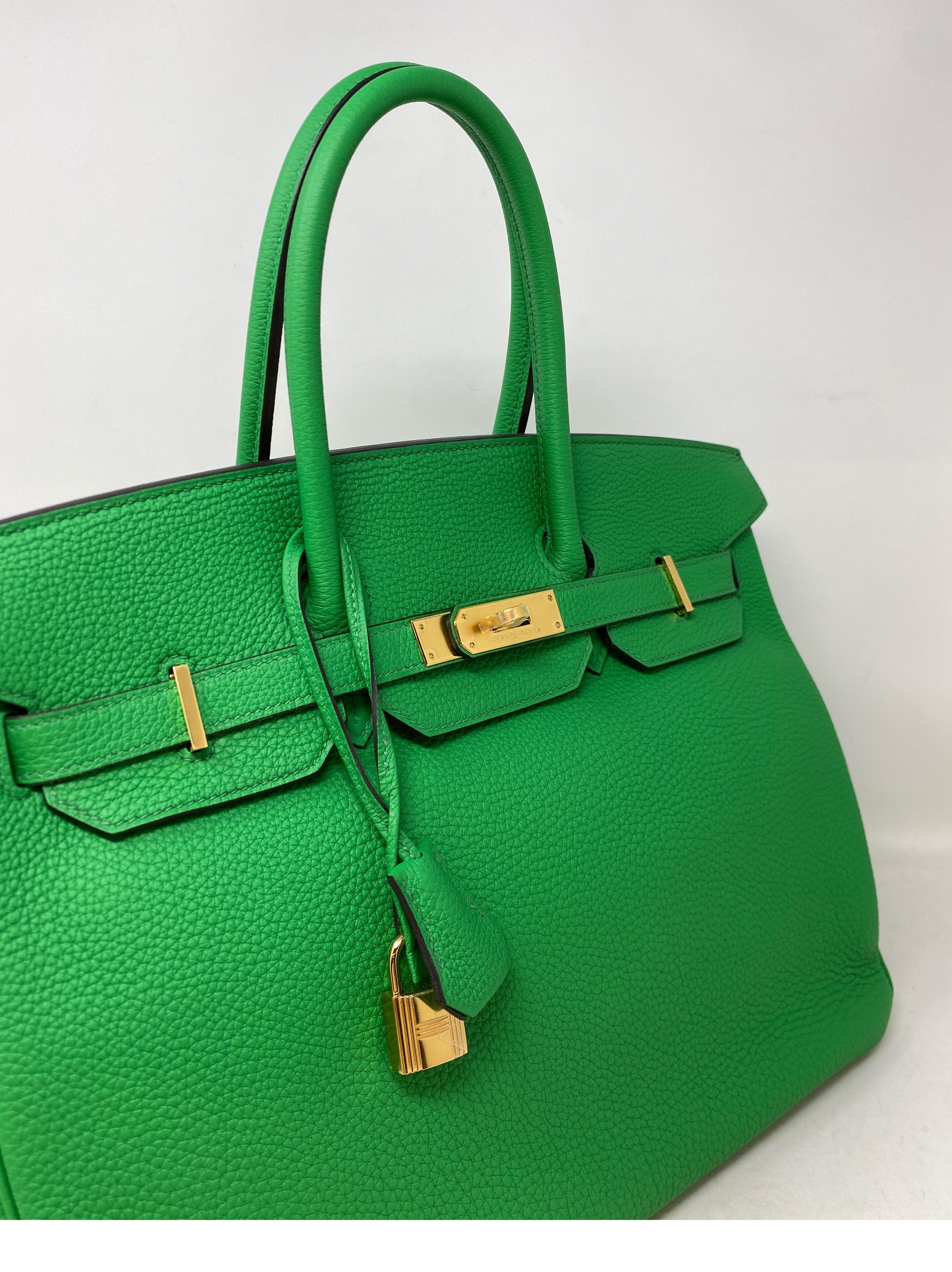 Hermes Bamboo Birkin 35 Bag 13