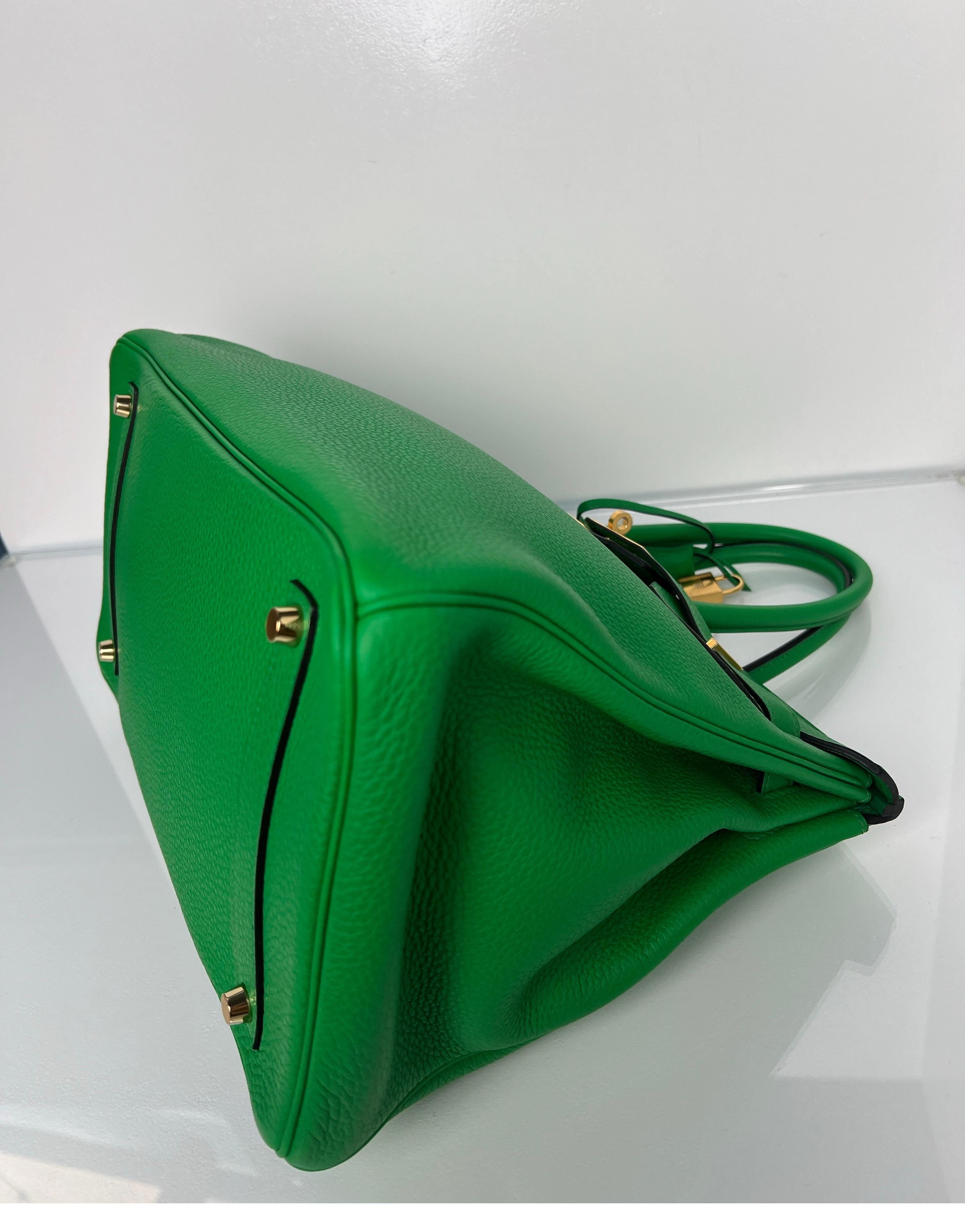 Hermes Bamboo Birkin 35 Bag 12