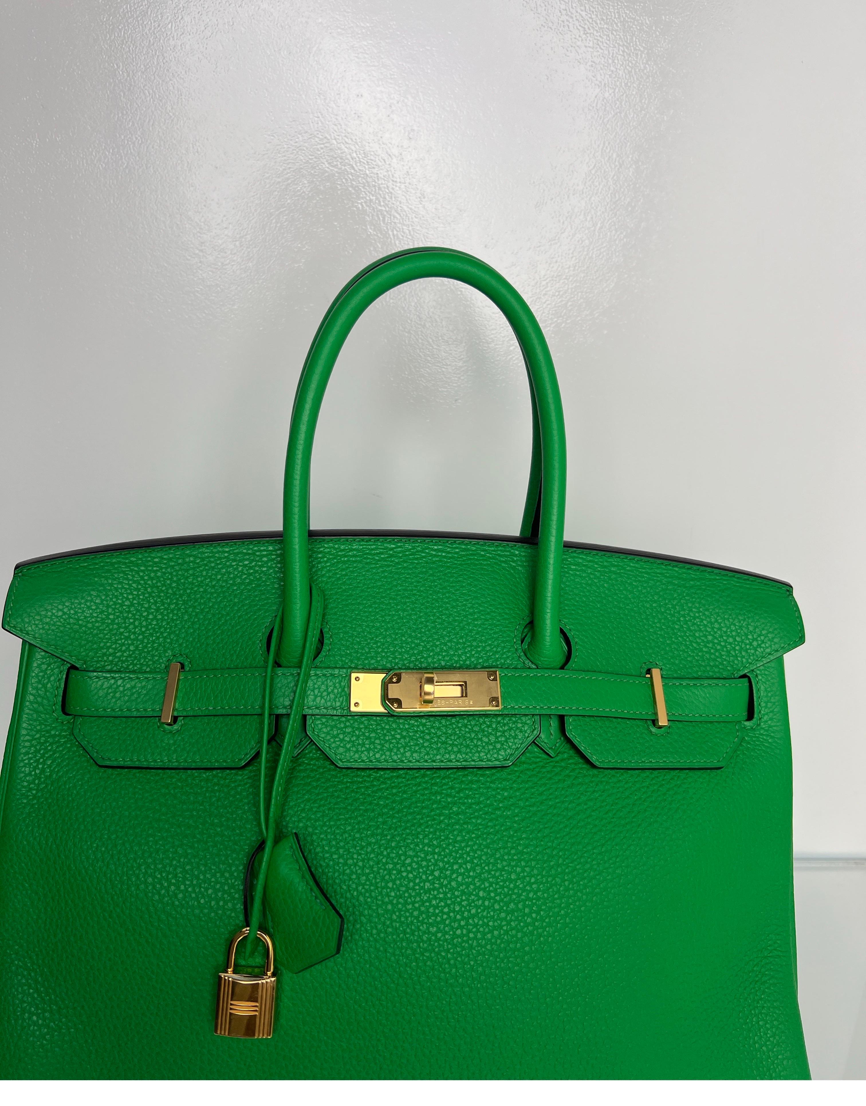 Hermes Bamboo Birkin 35 Bag 14