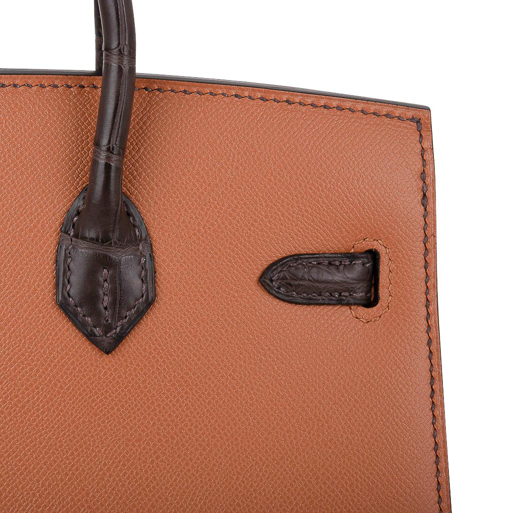 Hermes Birkin 20 Sellier Faubourg Bag Limited Edition Palladium Hardware 5
