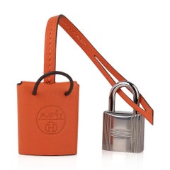 Hermes Birkin 20 Sellier Faubourg Tasche Limited Edition Palladium Hardware