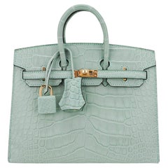 Vintage Hermes Birkin 20 Sellier Vert D'Eau Matte Alligator Limited Edition Bag