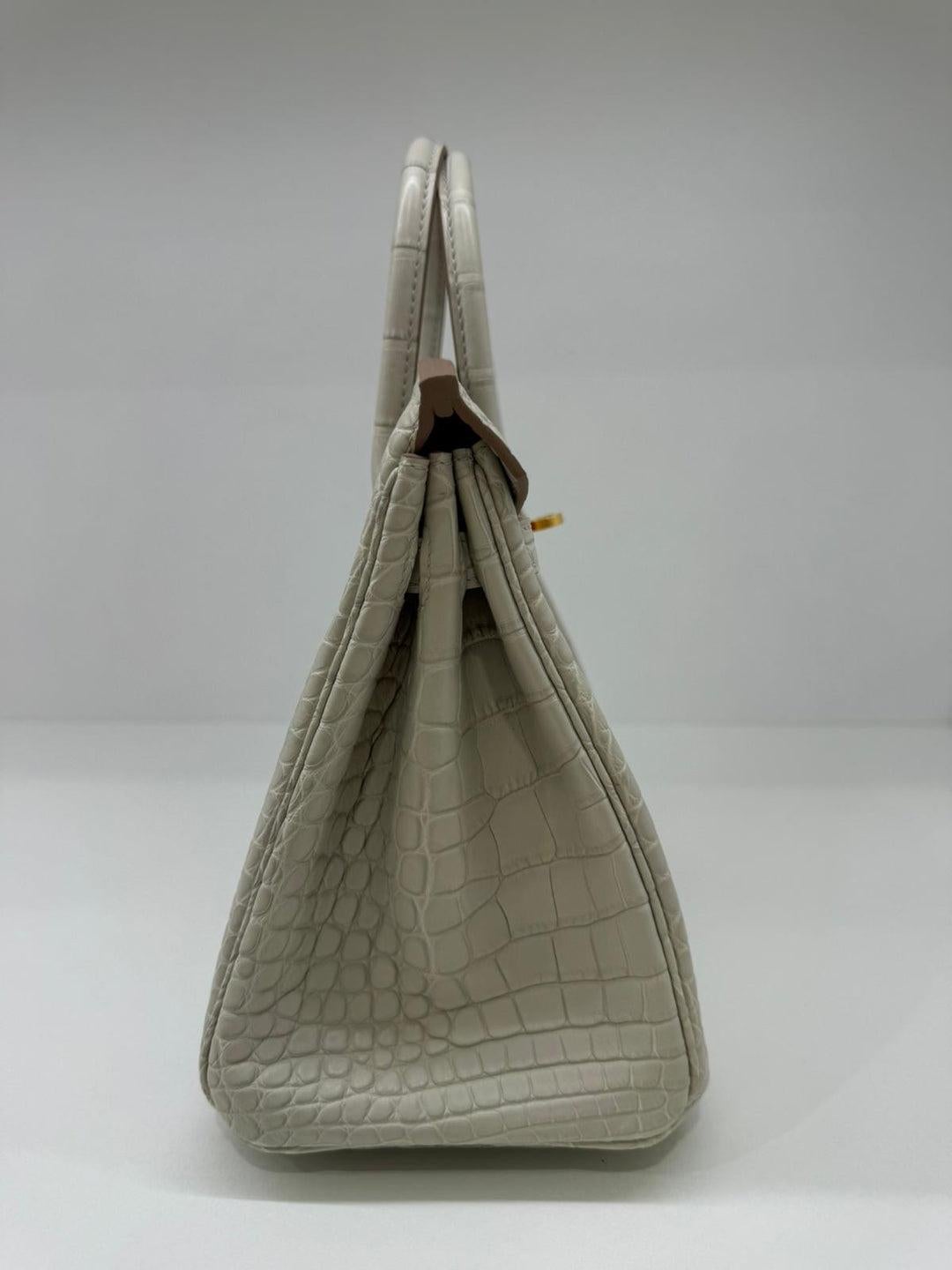 Hermes Birkin 25 Alligator Beton GHW 7