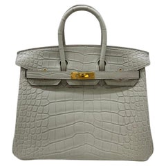 Hermes Birkin 25 Alligator Beton GHW