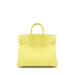 Hermes Birkin 25 Alligator Lime PHW stamp D