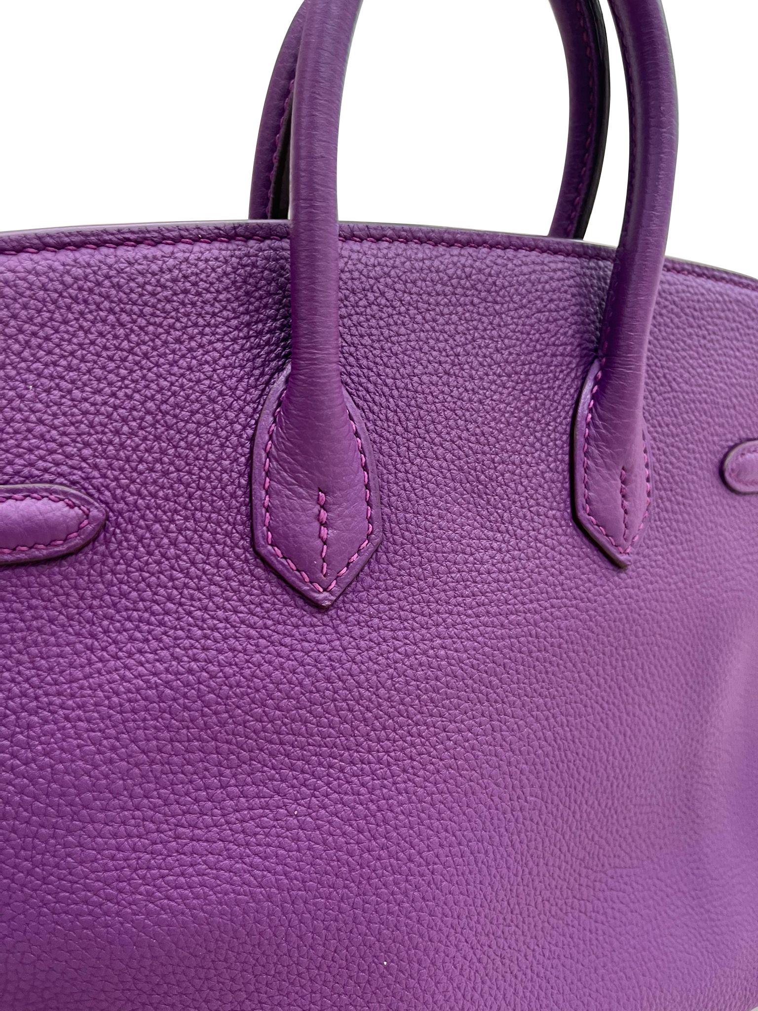 Hermes Birkin 25 Anemone Lila Togo Leder Gold Hardware Handtasche mit Goldbeschlägen im Angebot 6