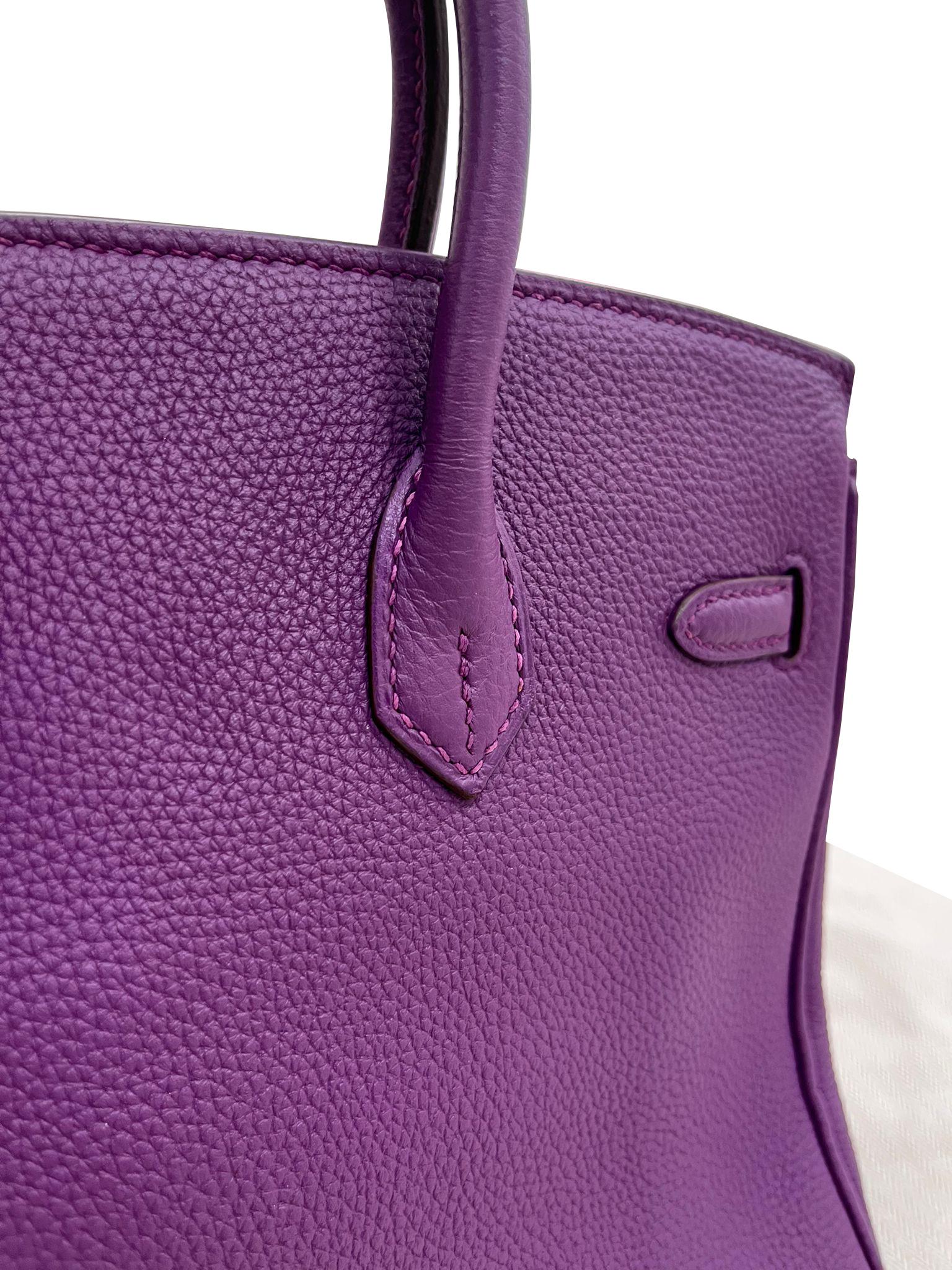 Hermes Birkin 25 Anemone Lila Togo Leder Gold Hardware Handtasche mit Goldbeschlägen im Angebot 7