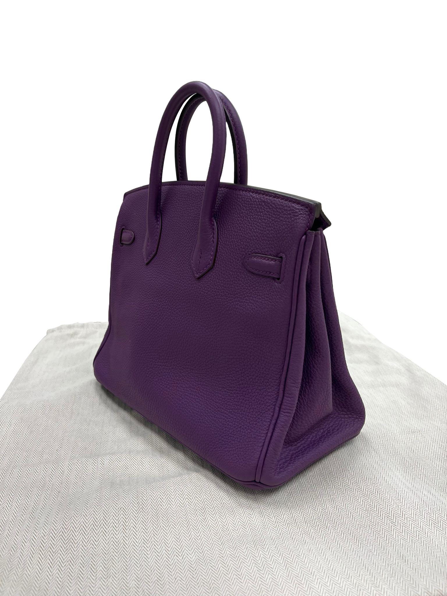 Hermes Birkin 25 Anemone Lila Togo Leder Gold Hardware Handtasche mit Goldbeschlägen im Angebot 8