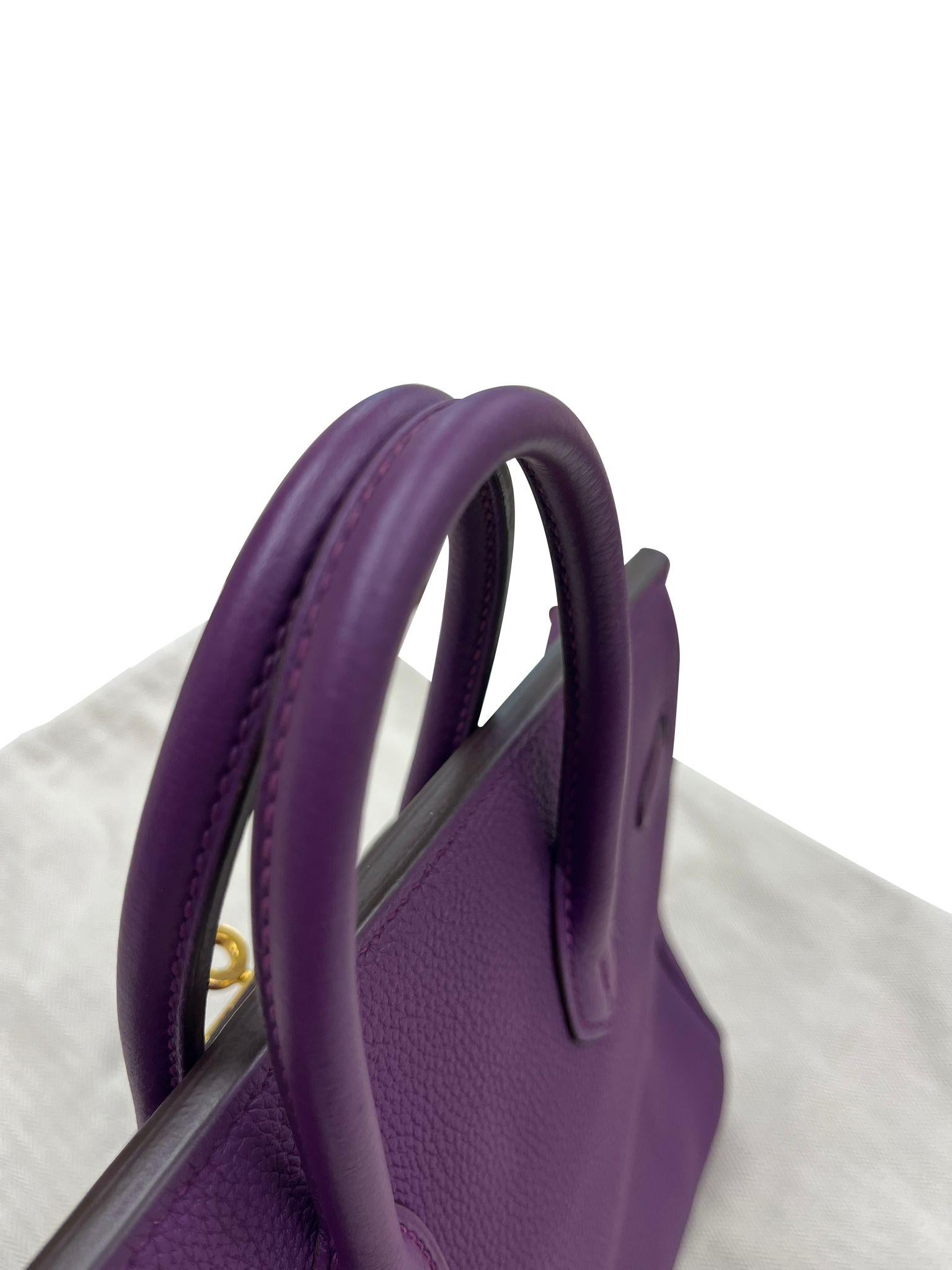 Hermes Birkin 25 Anemone Lila Togo Leder Gold Hardware Handtasche mit Goldbeschlägen im Angebot 10