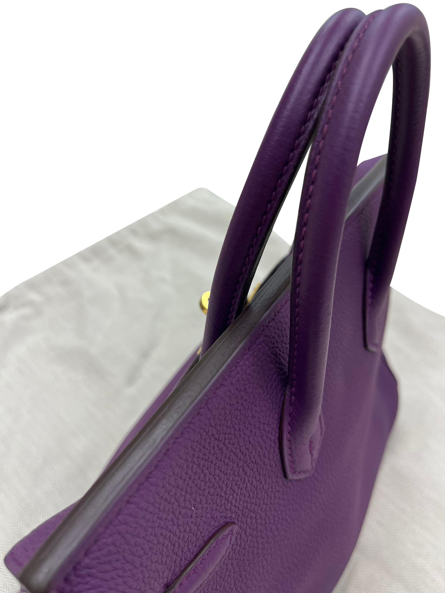 Hermes Birkin 25 Anemone Lila Togo Leder Gold Hardware Handtasche mit Goldbeschlägen im Angebot 11