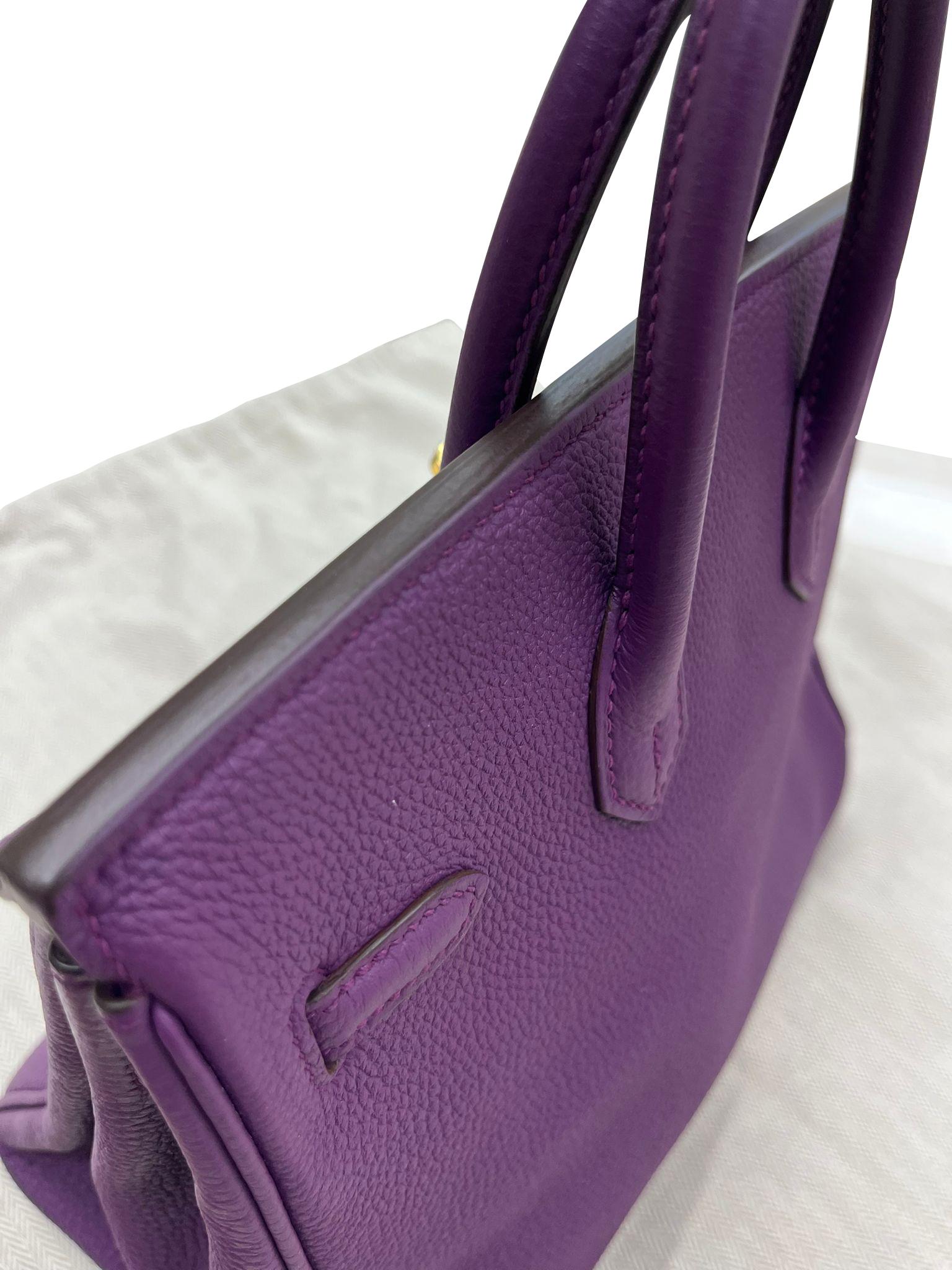 Hermes Birkin 25 Anemone Lila Togo Leder Gold Hardware Handtasche mit Goldbeschlägen im Angebot 12