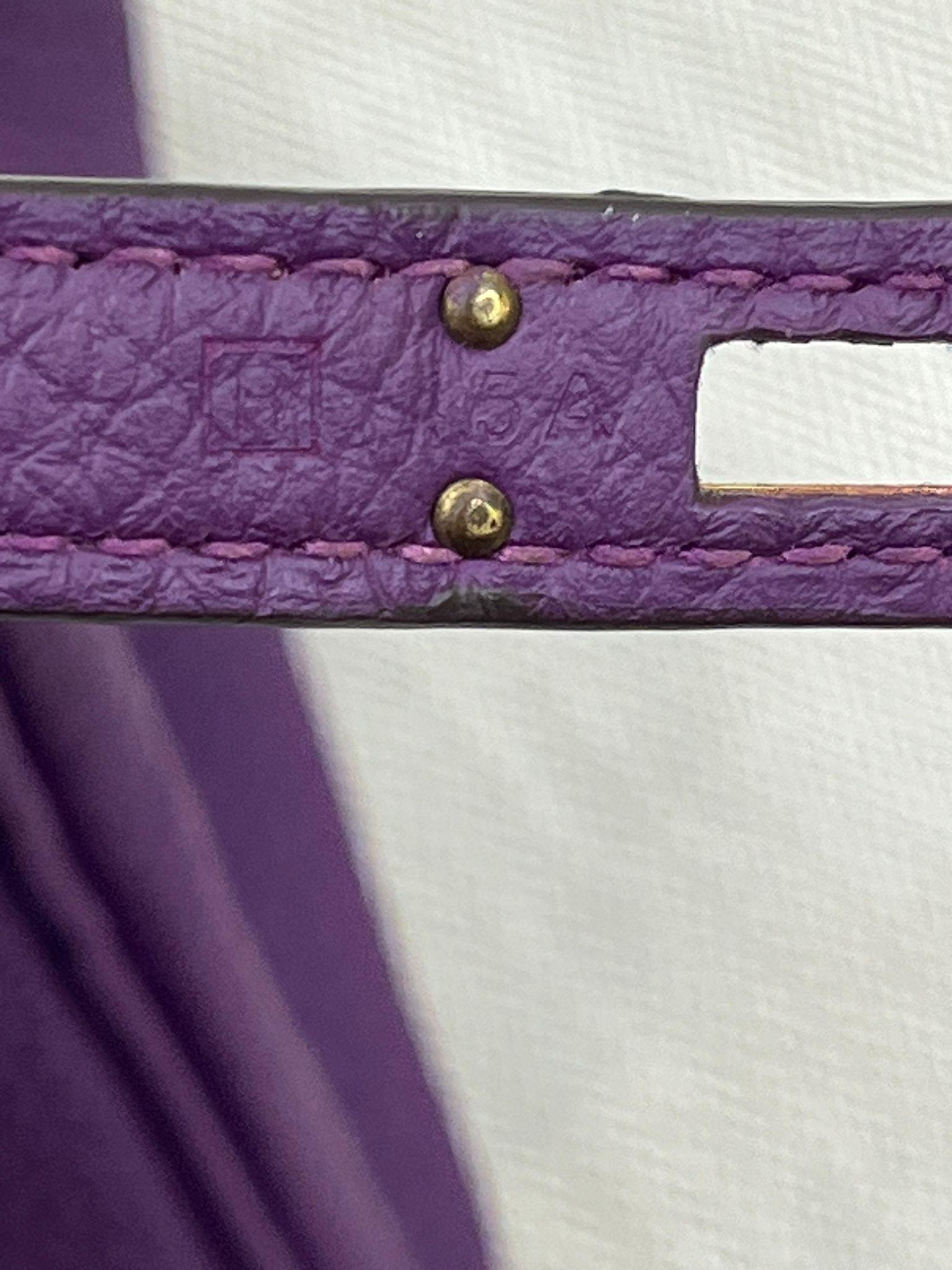 Hermes Birkin 25 Anemone Lila Togo Leder Gold Hardware Handtasche mit Goldbeschlägen im Angebot 14