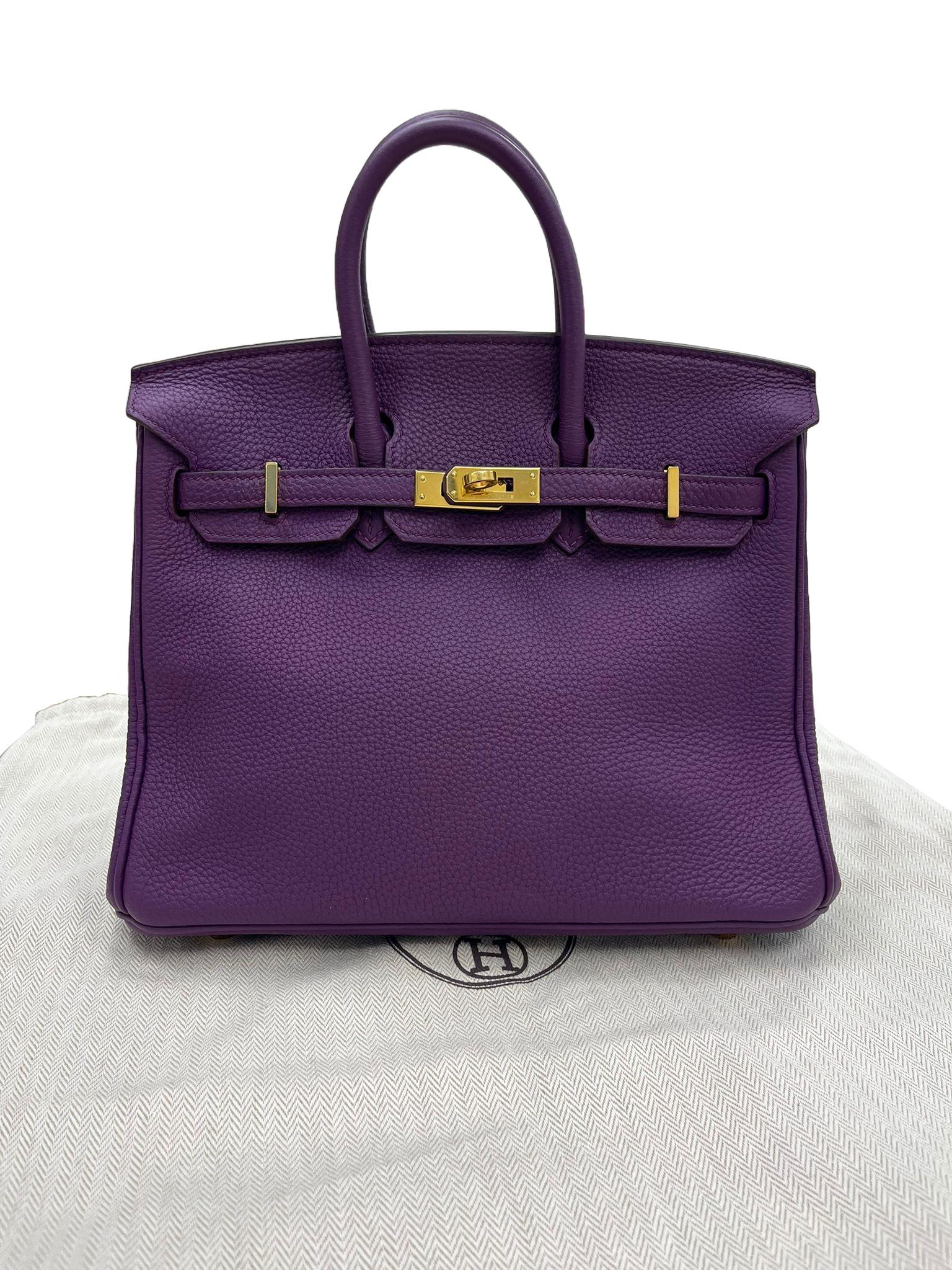 Hermes Birkin 25 Anemone Lila Togo Leder Gold Hardware Handtasche mit Goldbeschlägen im Zustand „Hervorragend“ im Angebot in Aventura, FL