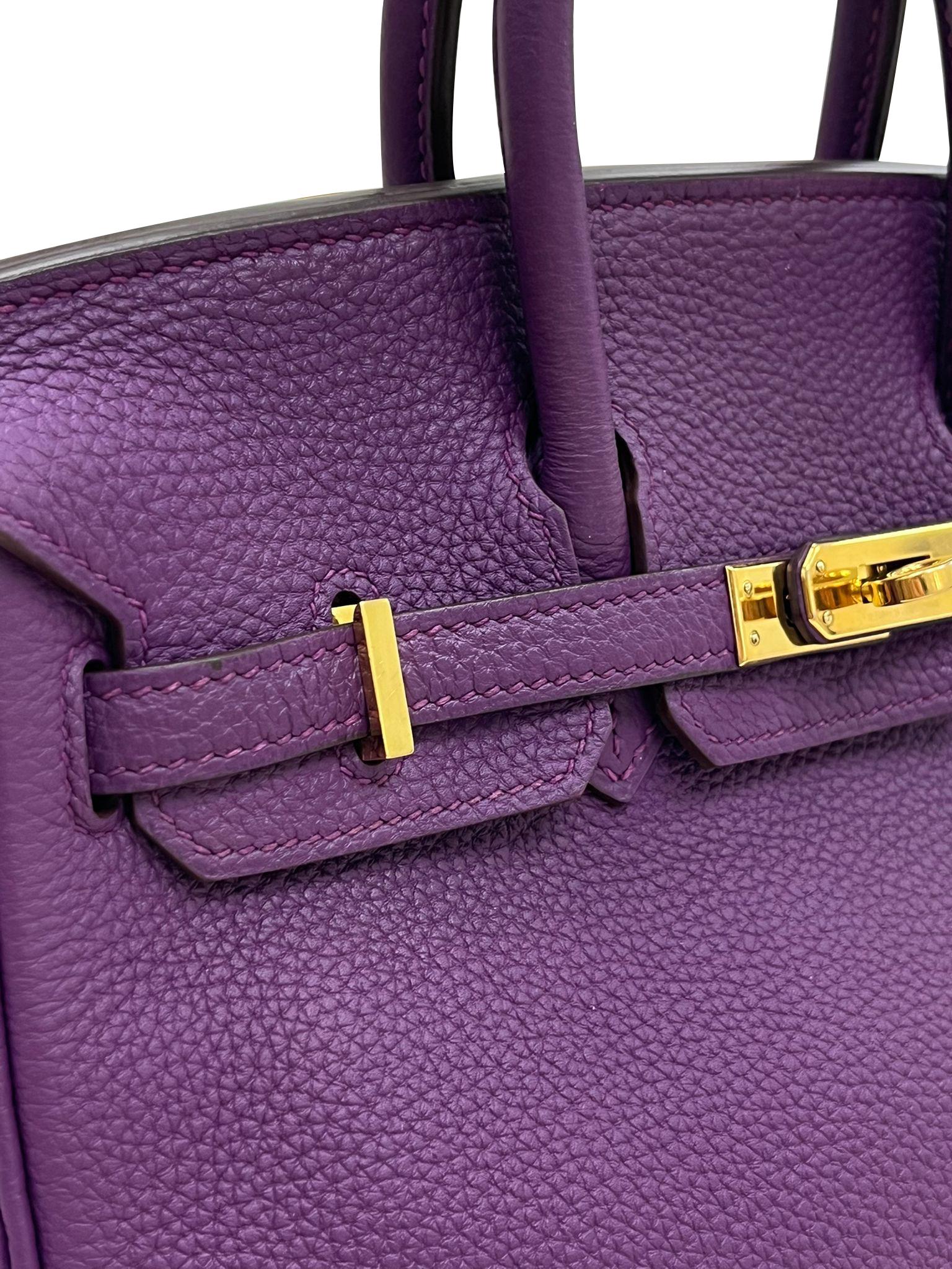 Hermes Birkin 25 Anemone Lila Togo Leder Gold Hardware Handtasche mit Goldbeschlägen im Angebot 1