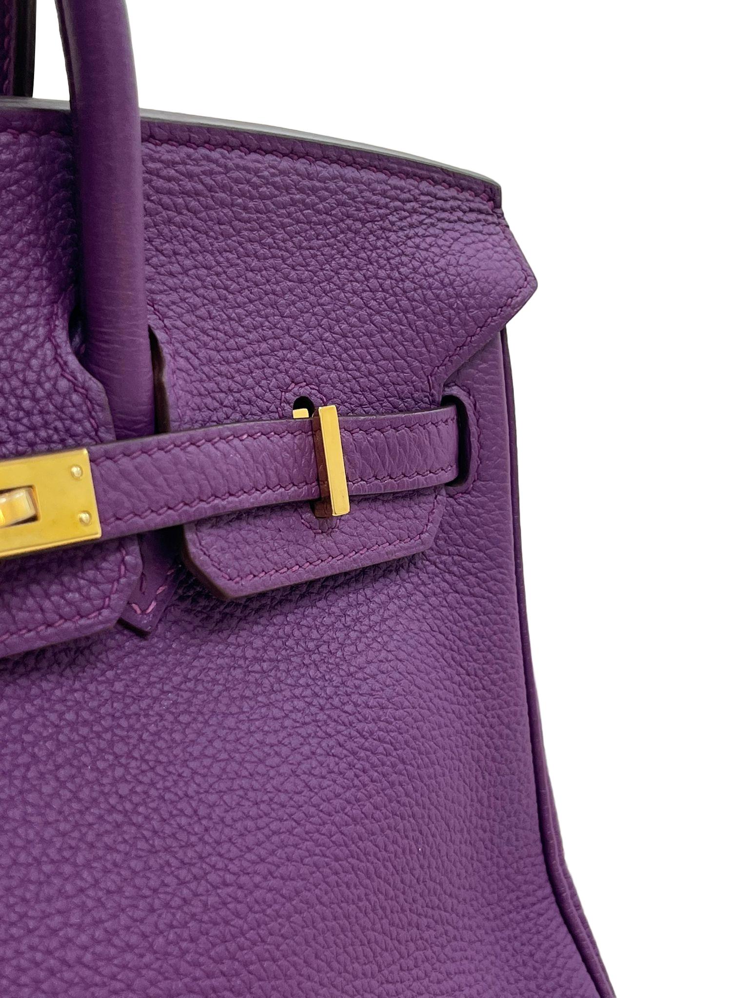 Hermes Birkin 25 Anemone Lila Togo Leder Gold Hardware Handtasche mit Goldbeschlägen im Angebot 2