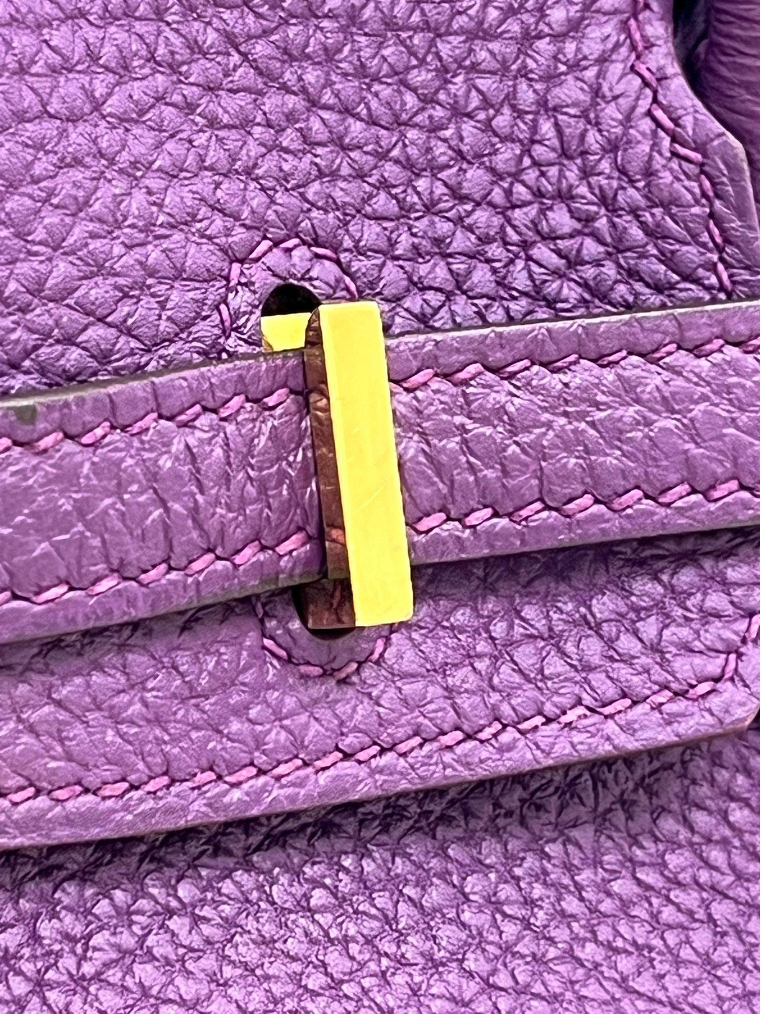 Hermes Birkin 25 Anemone Lila Togo Leder Gold Hardware Handtasche mit Goldbeschlägen im Angebot 3