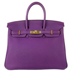 Hermes Birkin 25 Anemone Purple Togo Leather Gold Hardware Handbag
