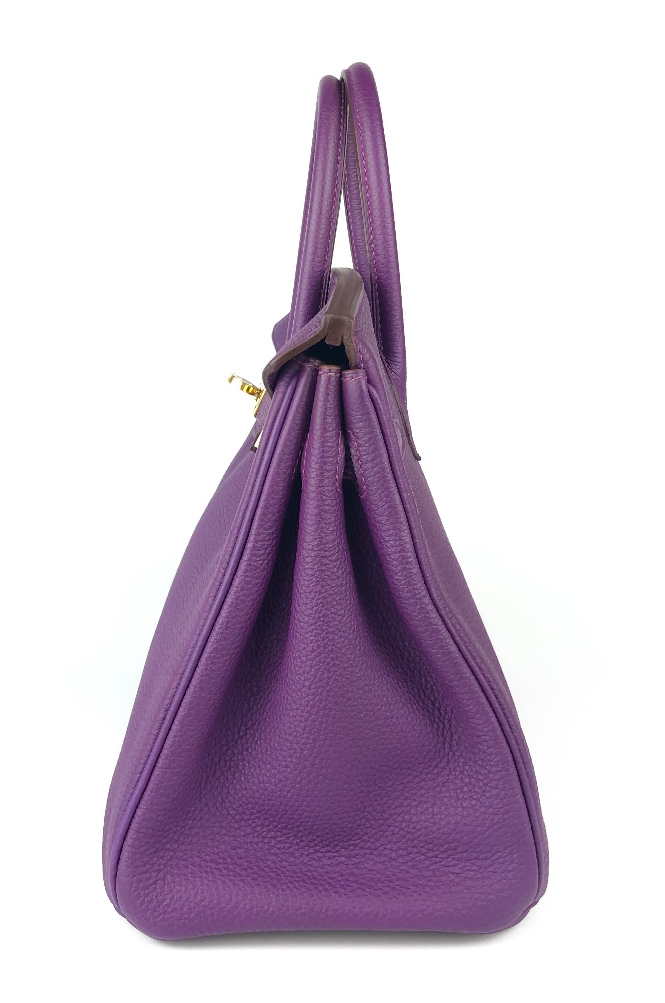 Hermes Birkin 25 Anemone Purple Togo Leather Handbag Gold Hardware 2