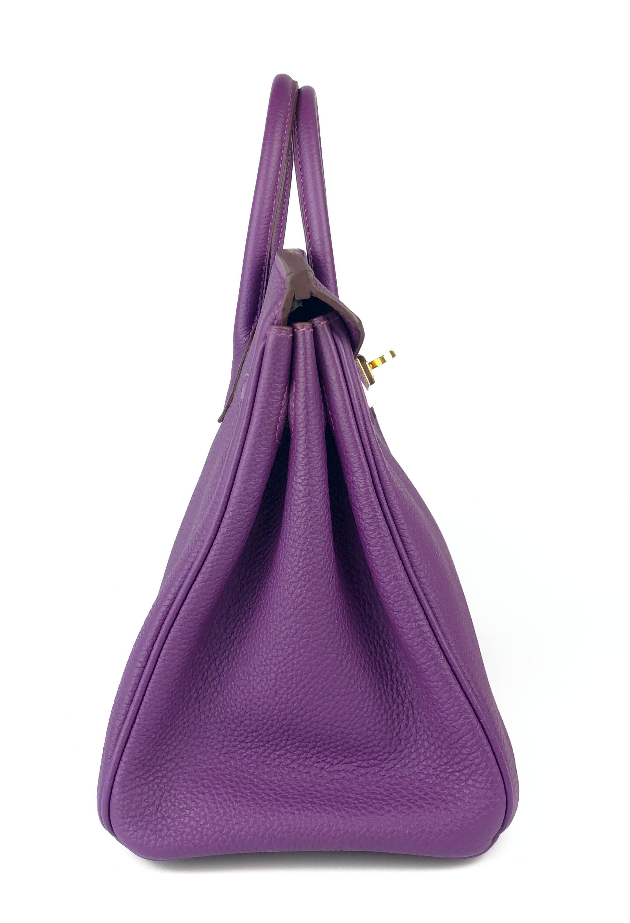 Hermes Birkin 25 Anemone Purple Togo Leather Handbag Gold Hardware 3
