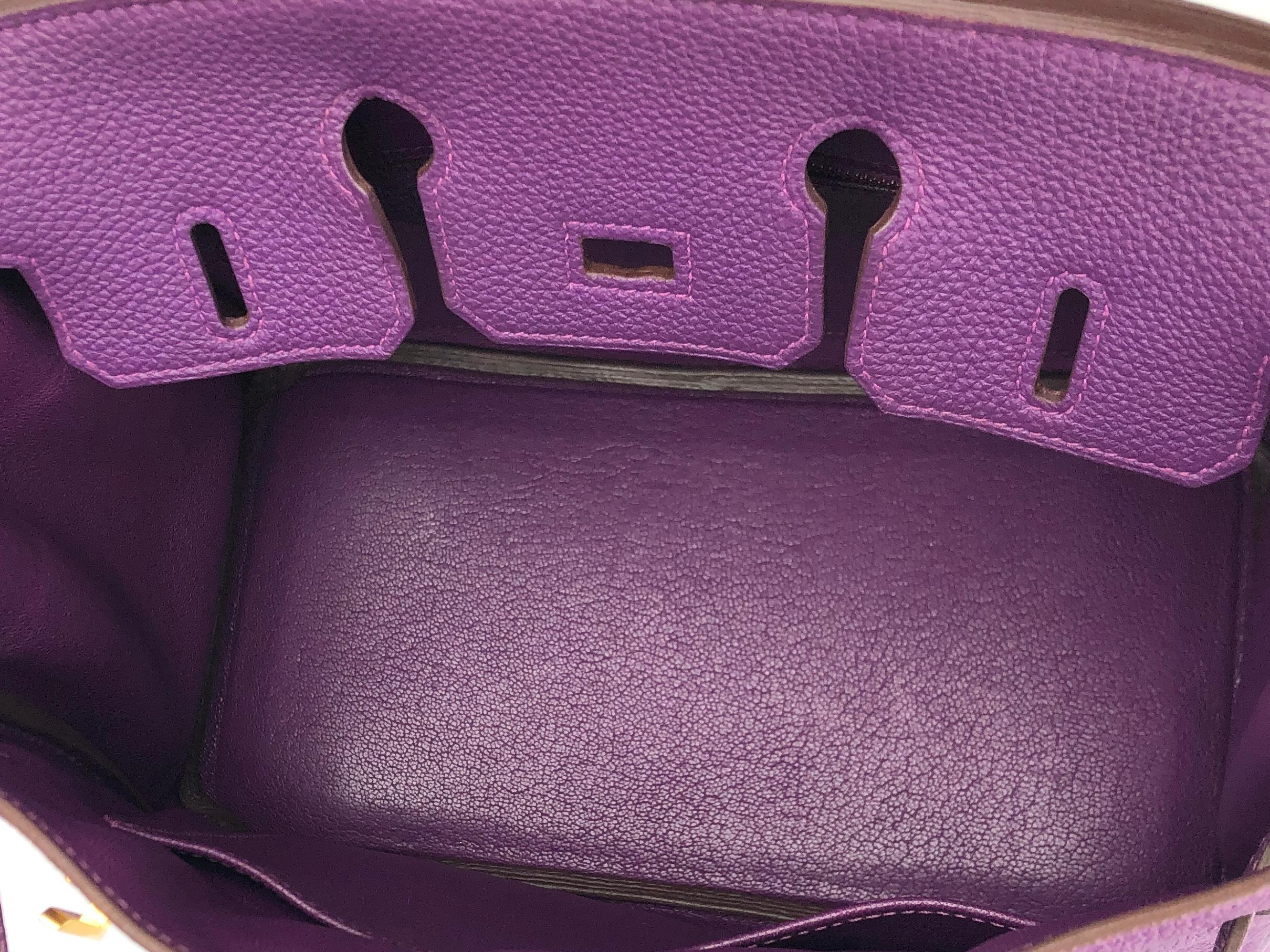 Hermes Birkin 25 Anemone Purple Togo Leather Handbag Gold Hardware 4