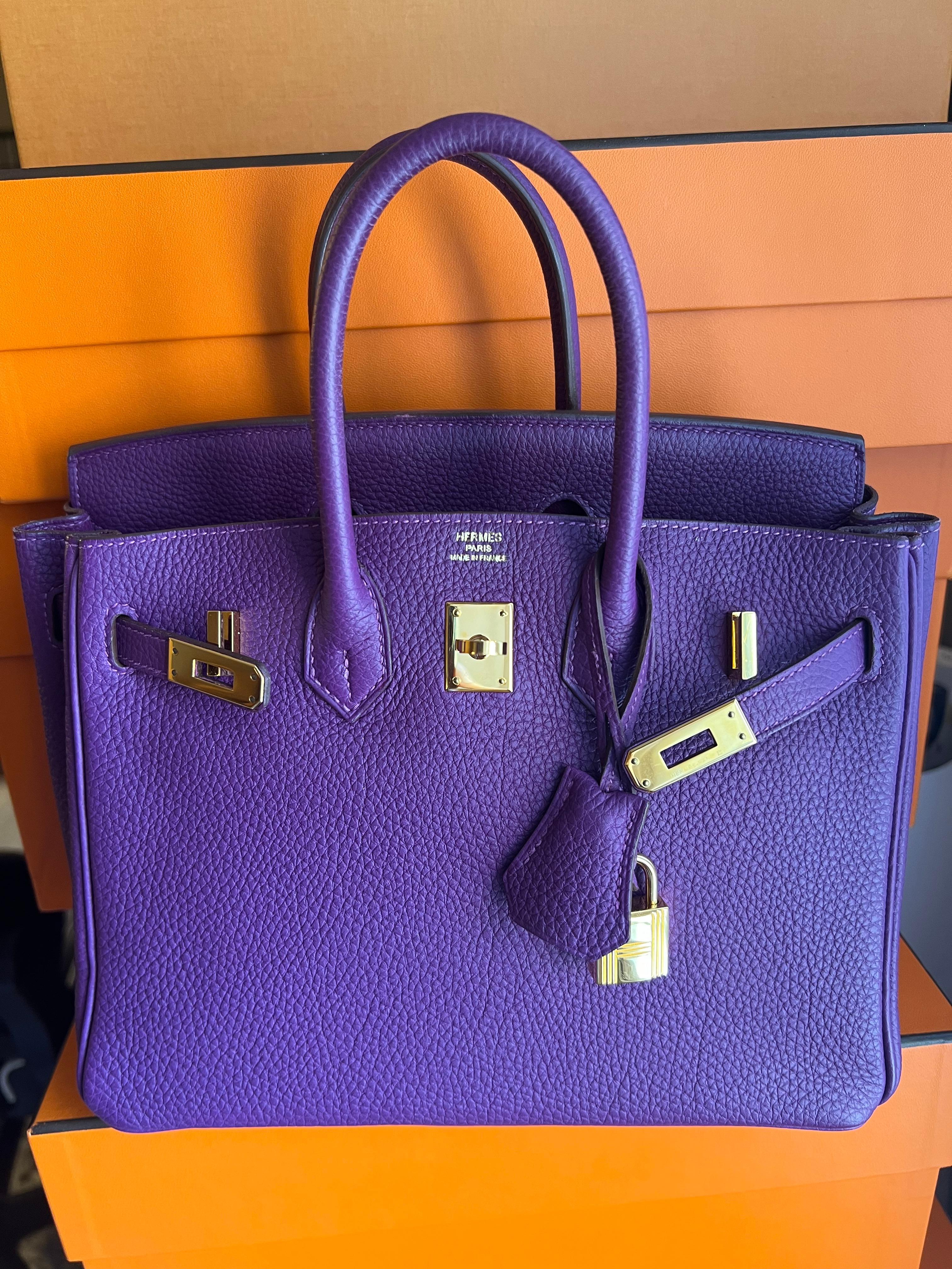 Hermes Birkin 25 Anemone Togo leather bag GHW For Sale 6