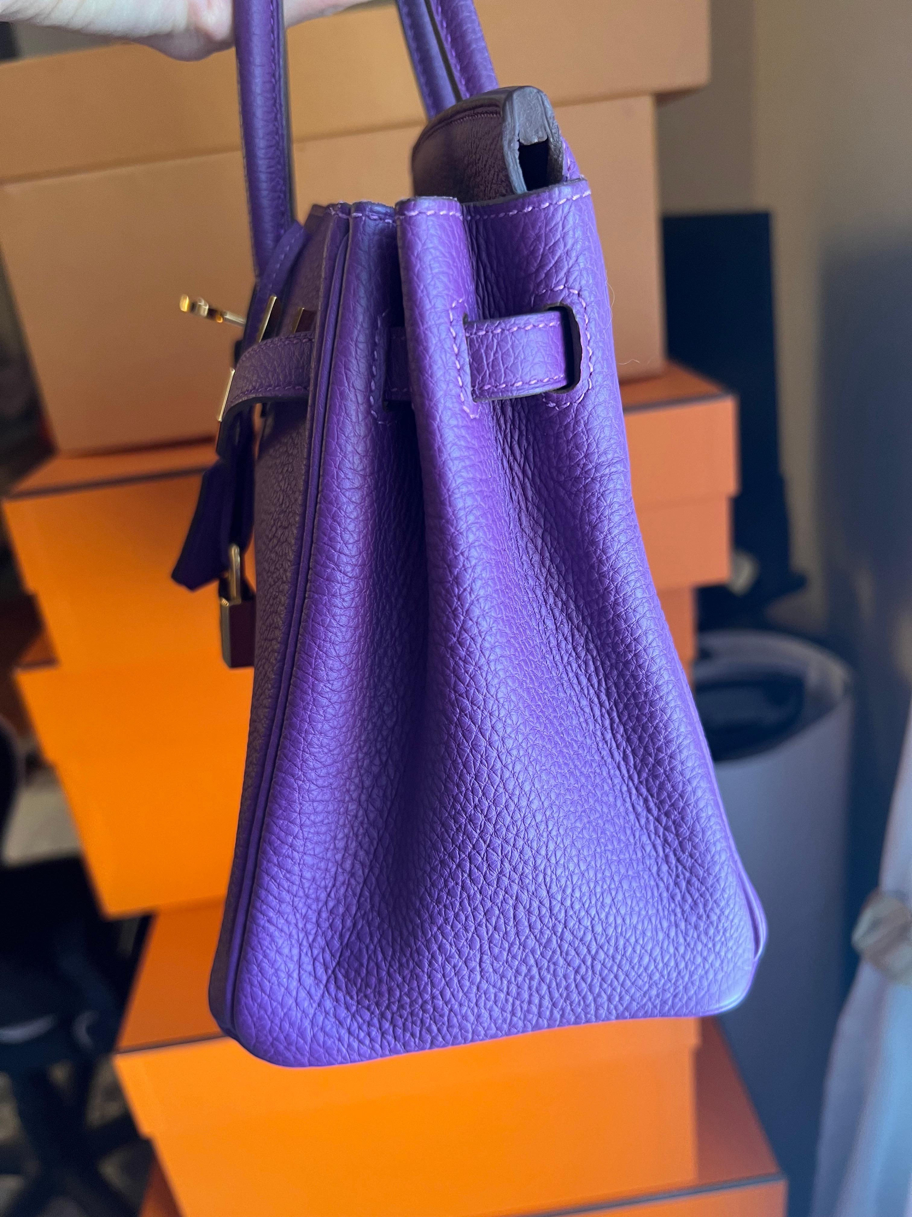 Hermes Birkin 25 Anemone Togo leather bag GHW For Sale 7