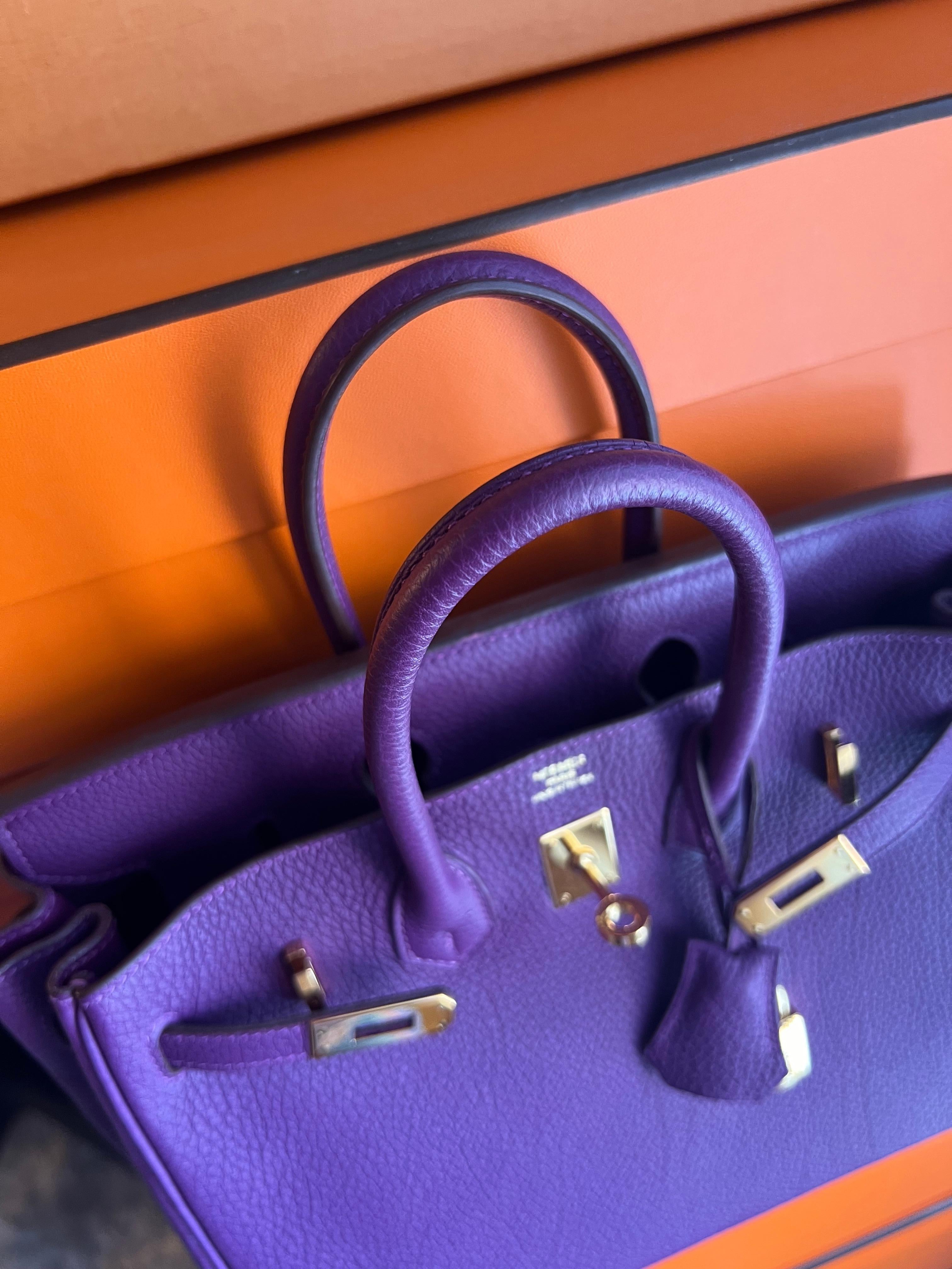 Hermes Birkin 25 Anemone Togo leather bag GHW For Sale 12