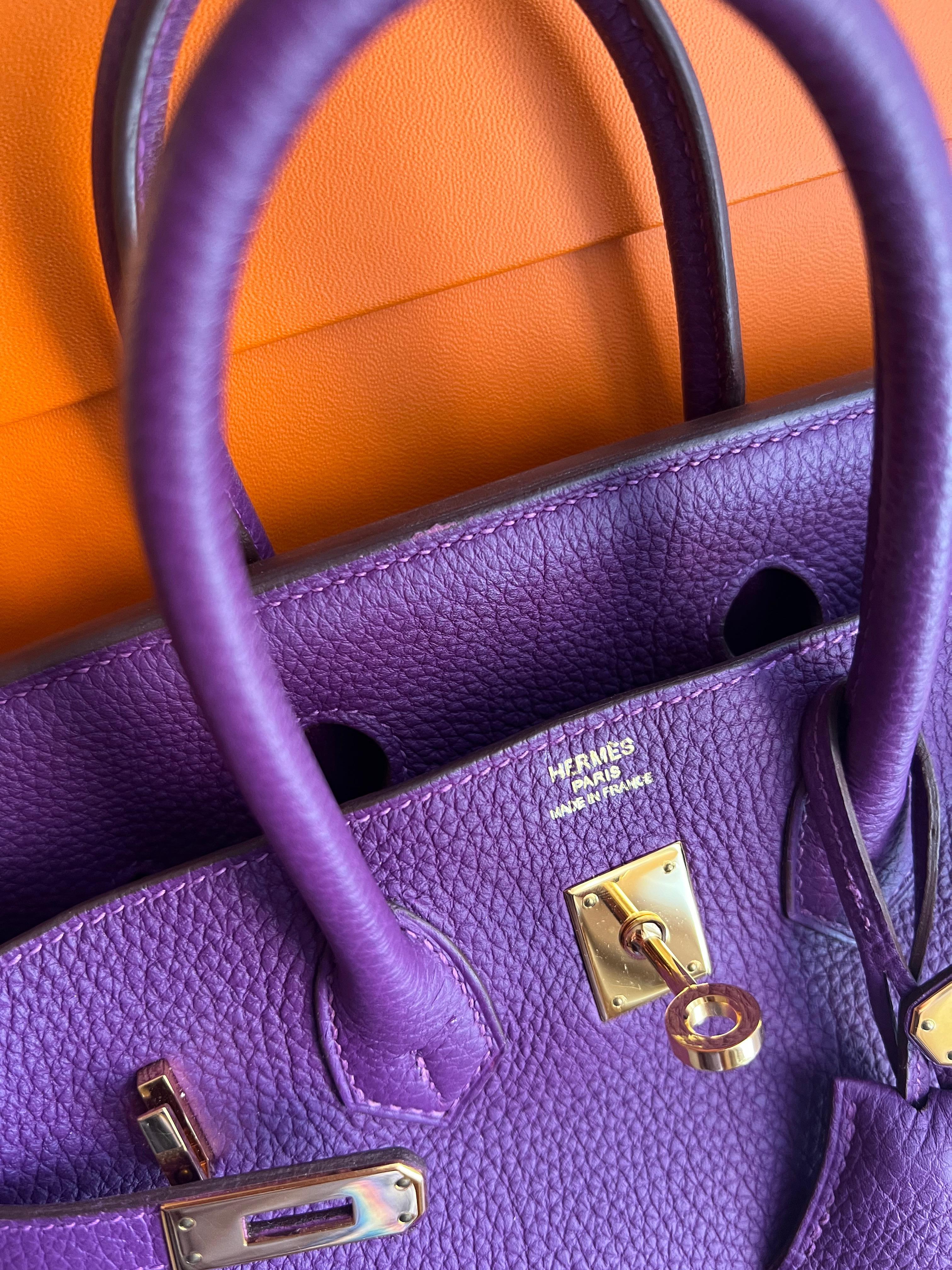 Hermes Birkin 25 Anemone Togo leather bag GHW For Sale 13