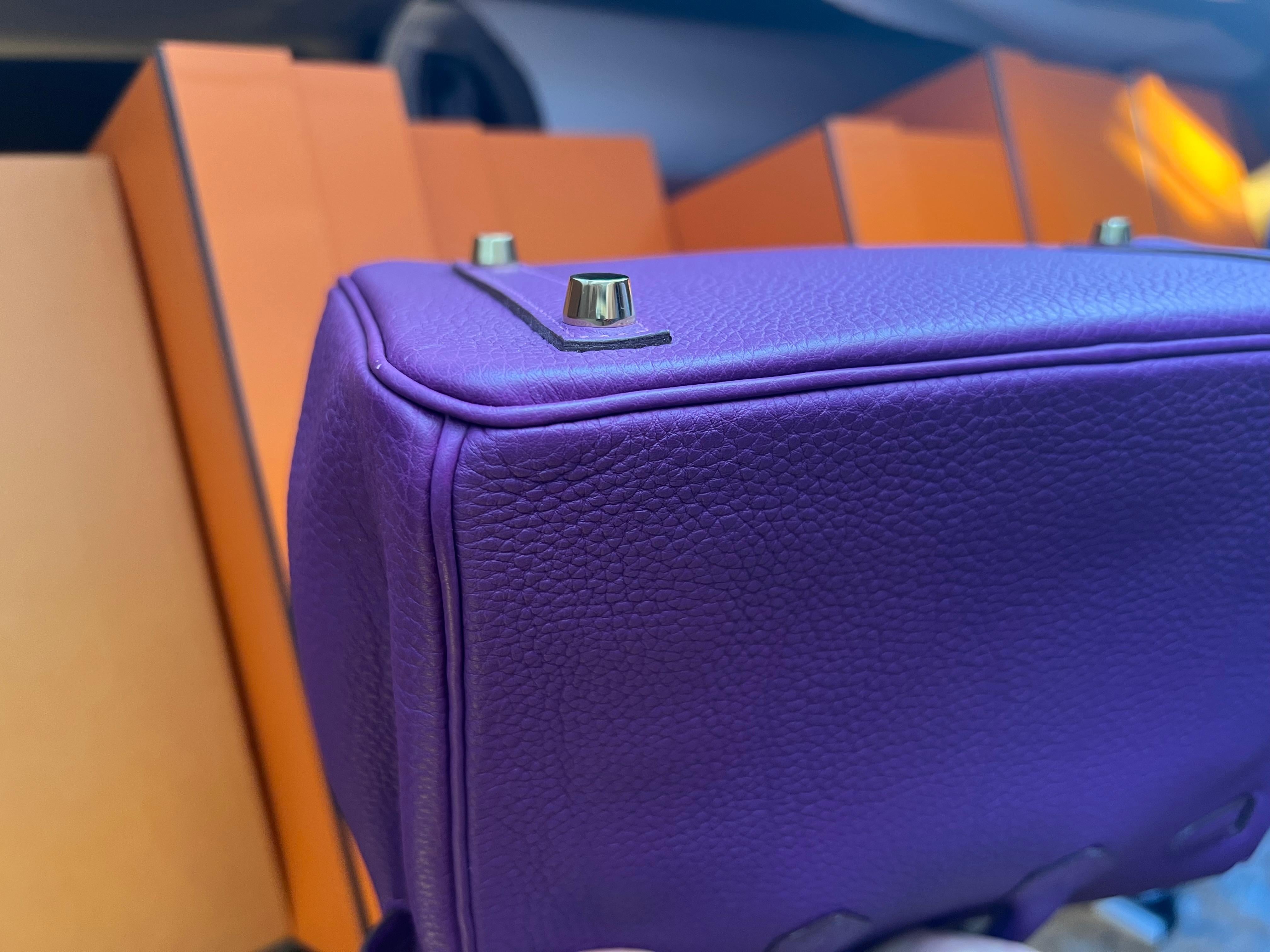 Hermes Birkin 25 Anemone Togo leather bag GHW For Sale 2