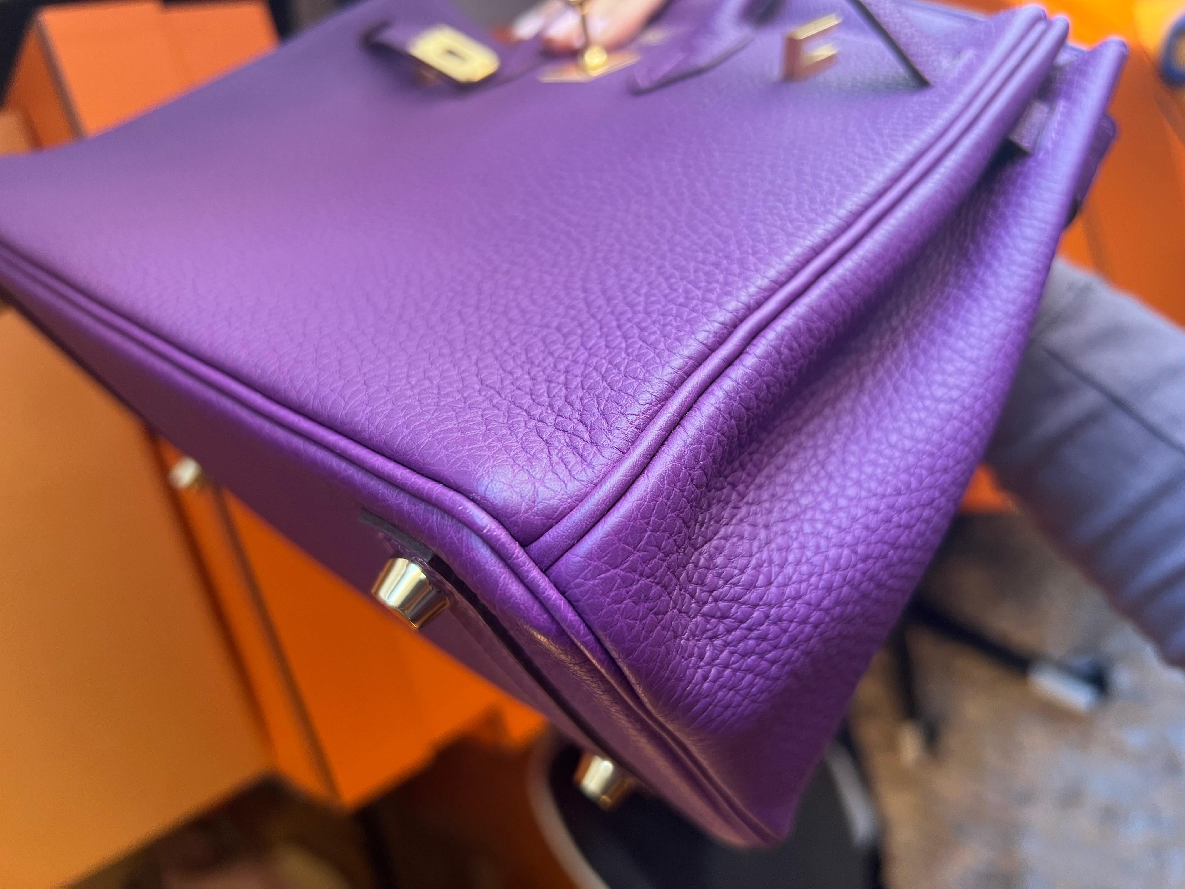 Hermes Birkin 25 Anemone Togo leather bag GHW For Sale 3