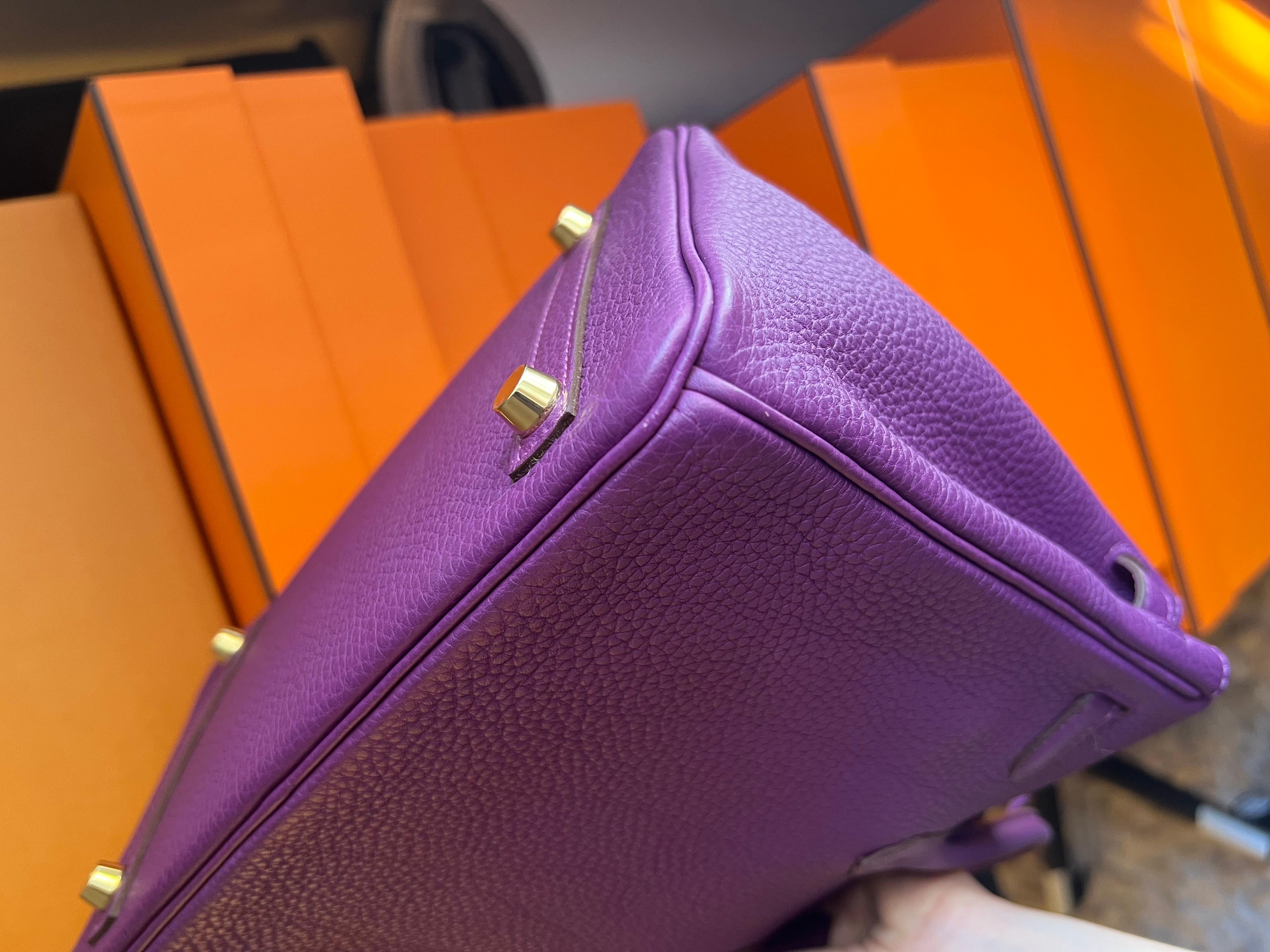 Hermes Birkin 25 Anemone Togo leather bag GHW For Sale 4
