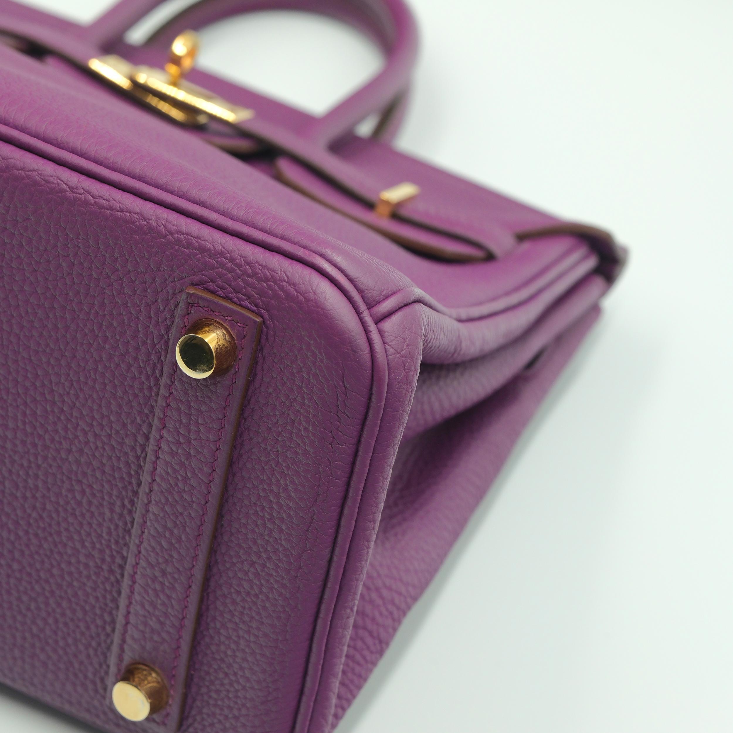 Hermes Birkin 25 Anémone Togo avec ornements en or en vente 1