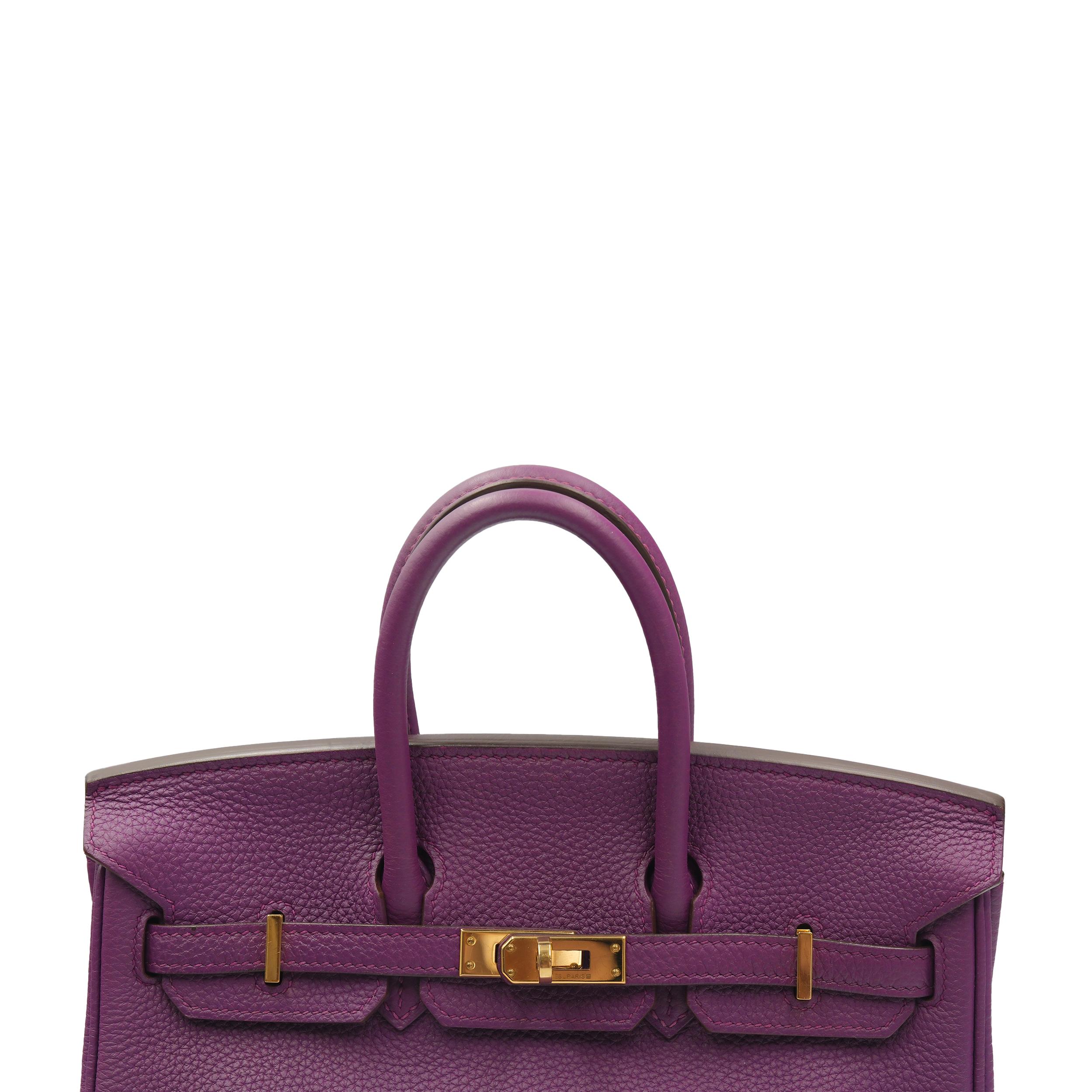 Hermes Birkin 25 Anémone Togo avec ornements en or en vente 2