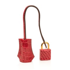 Hermes Birkin 25 Bag Braise Porosus Crocodile Gold Hardware Lipstick Red