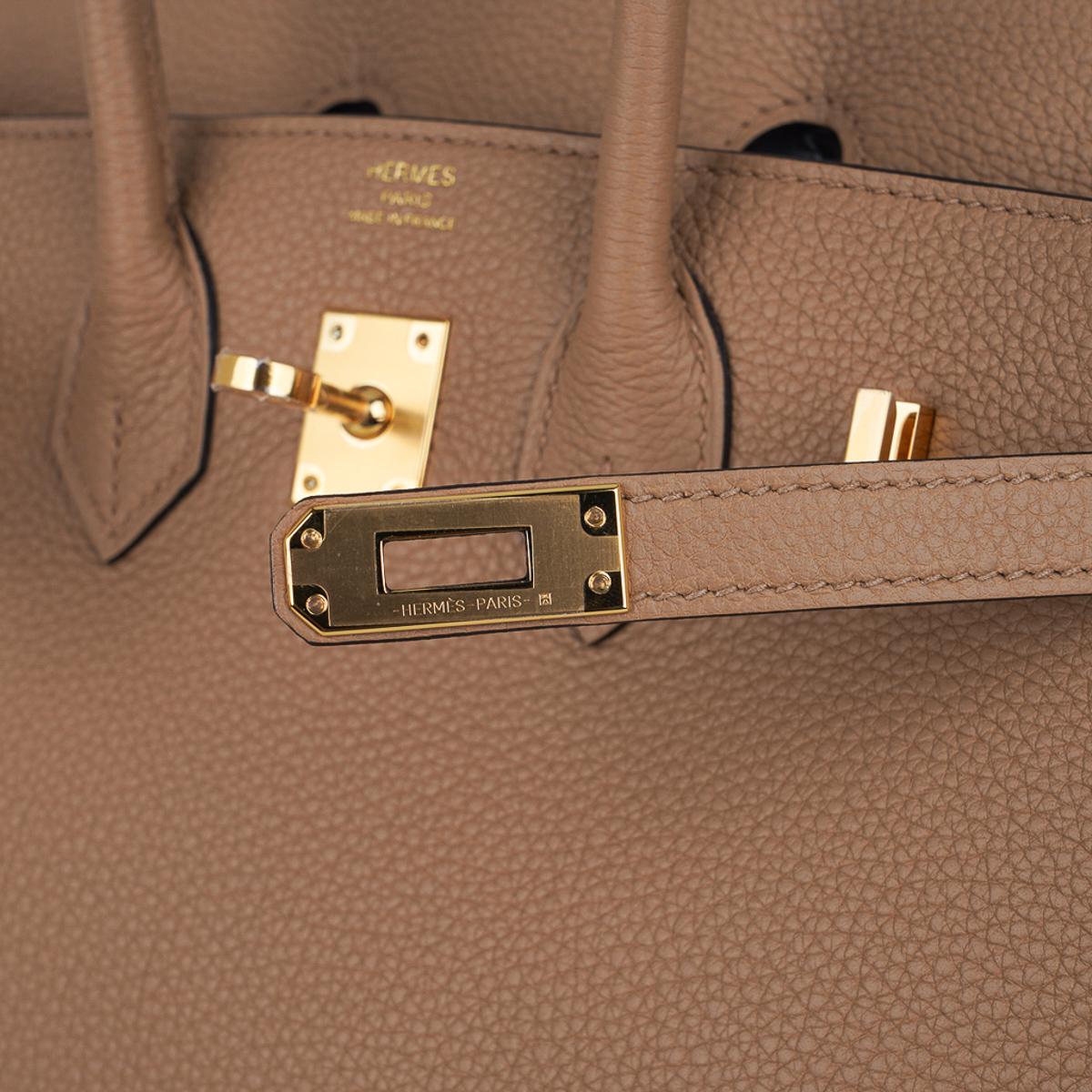 Hermes Birkin 25 Chai Bag Gold Hardware Togo Leather 1