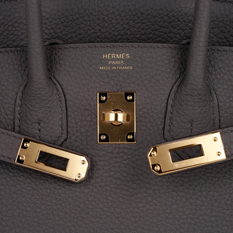 Hermes Birkin 25 Bag Etain Gold Hardware Togo Leather New w/Box at