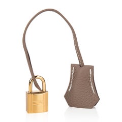 Hermes Birkin 25 Bag Etoupe Togo Gold Hardware Neutral Perfection