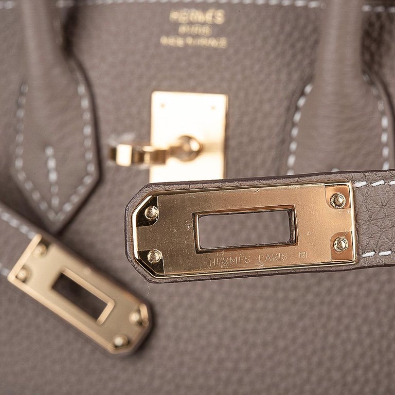 Hermes Backpocket Pouch 25 Detachable Etoupe Gold Hardware Togo