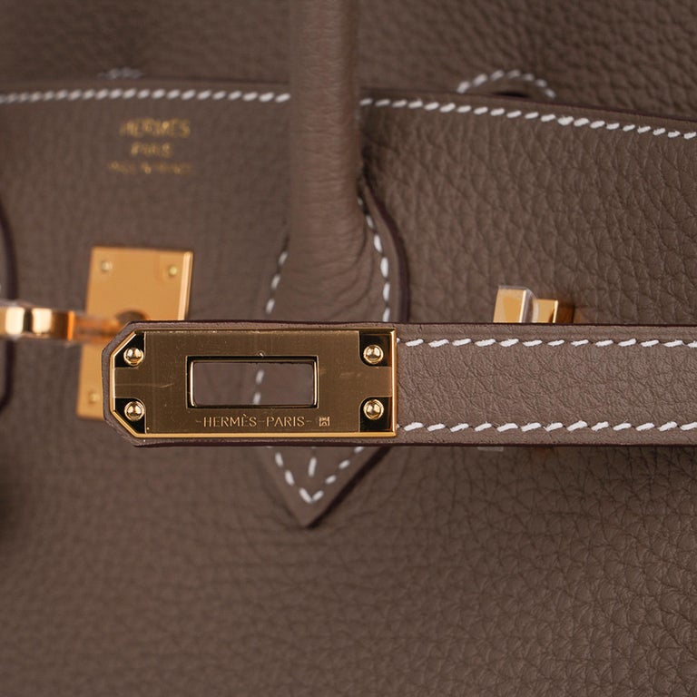 Hermes Birkin 25 Bag Etoupe Togo Gold Hardware Neutral Perfection