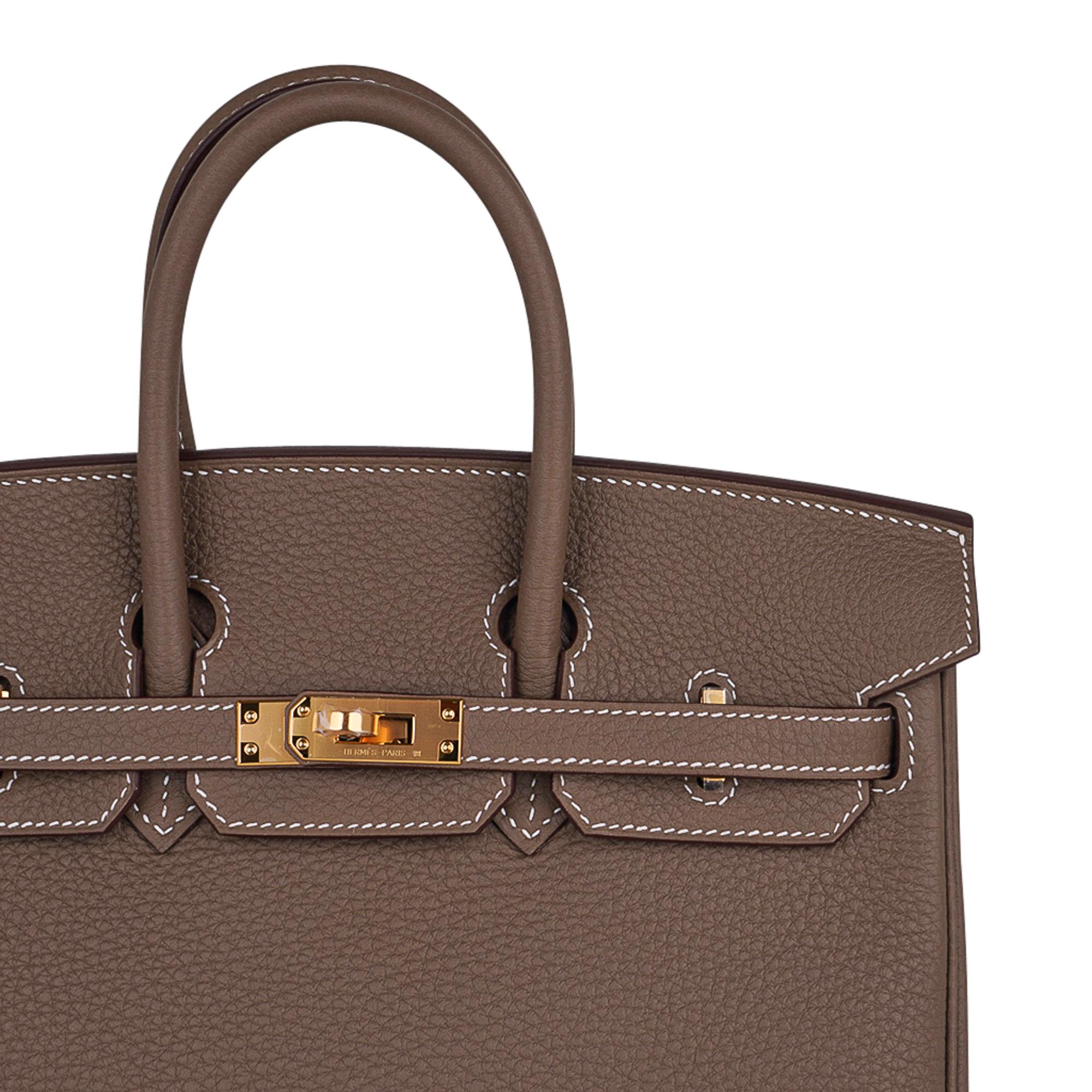 Women's Hermes Birkin 25 Bag Etoupe Togo Gold Hardware Neutral Perfection