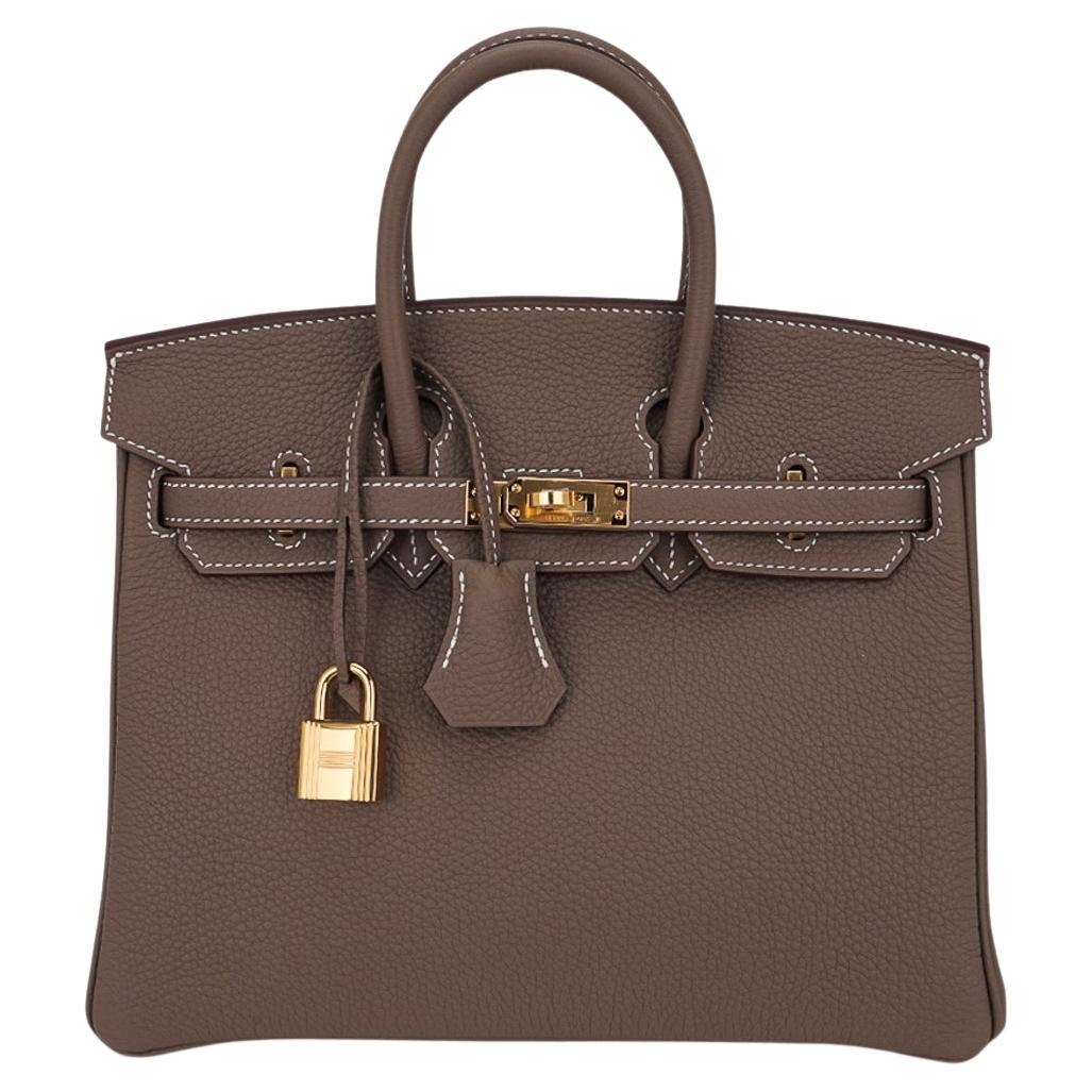 Hermes Birkin 25 Chai Bag Palladium Hardware Togo Leather – Mightychic