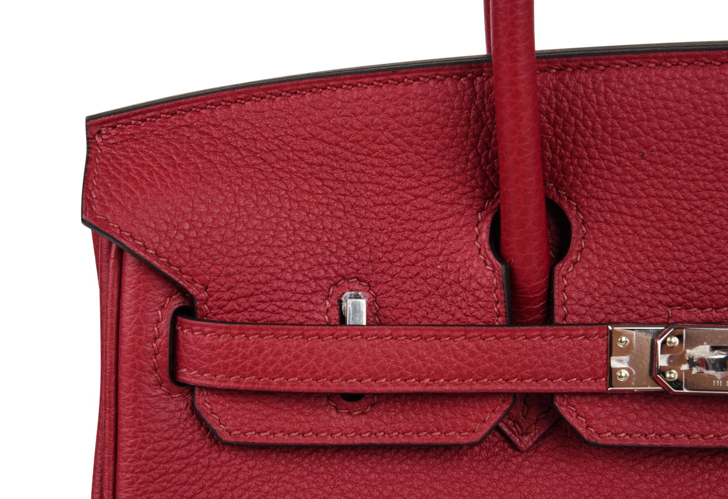 Hermes Birkin 25 Bag Exotic Jewel Red Rouge Grenat Togo Palladium   3