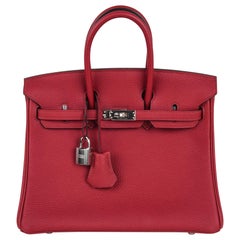 Hermes Birkin 25 Bag Exotic Jewel Red Rouge Grenat Togo Palladium