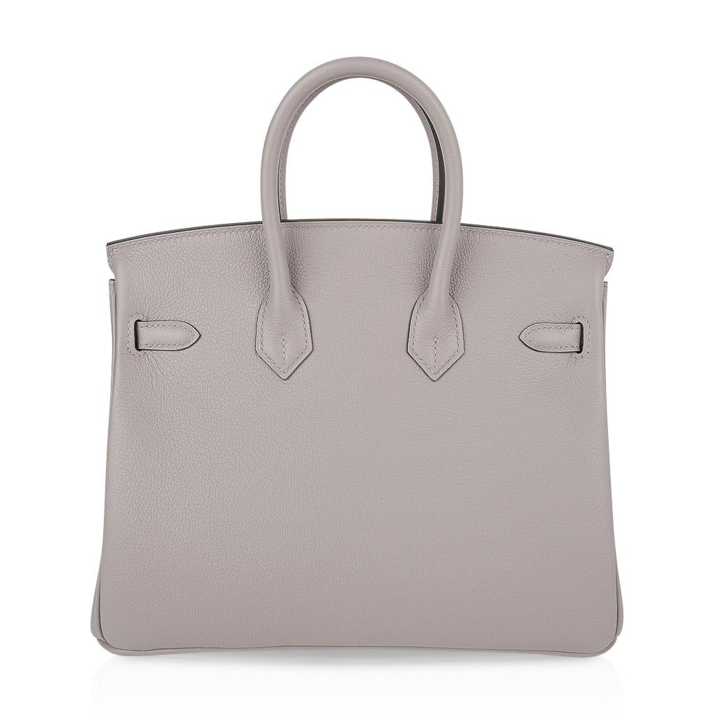 Hermes Birkin 25 Bag Gris Asphalte Novillo Leather Gold Hardware 1