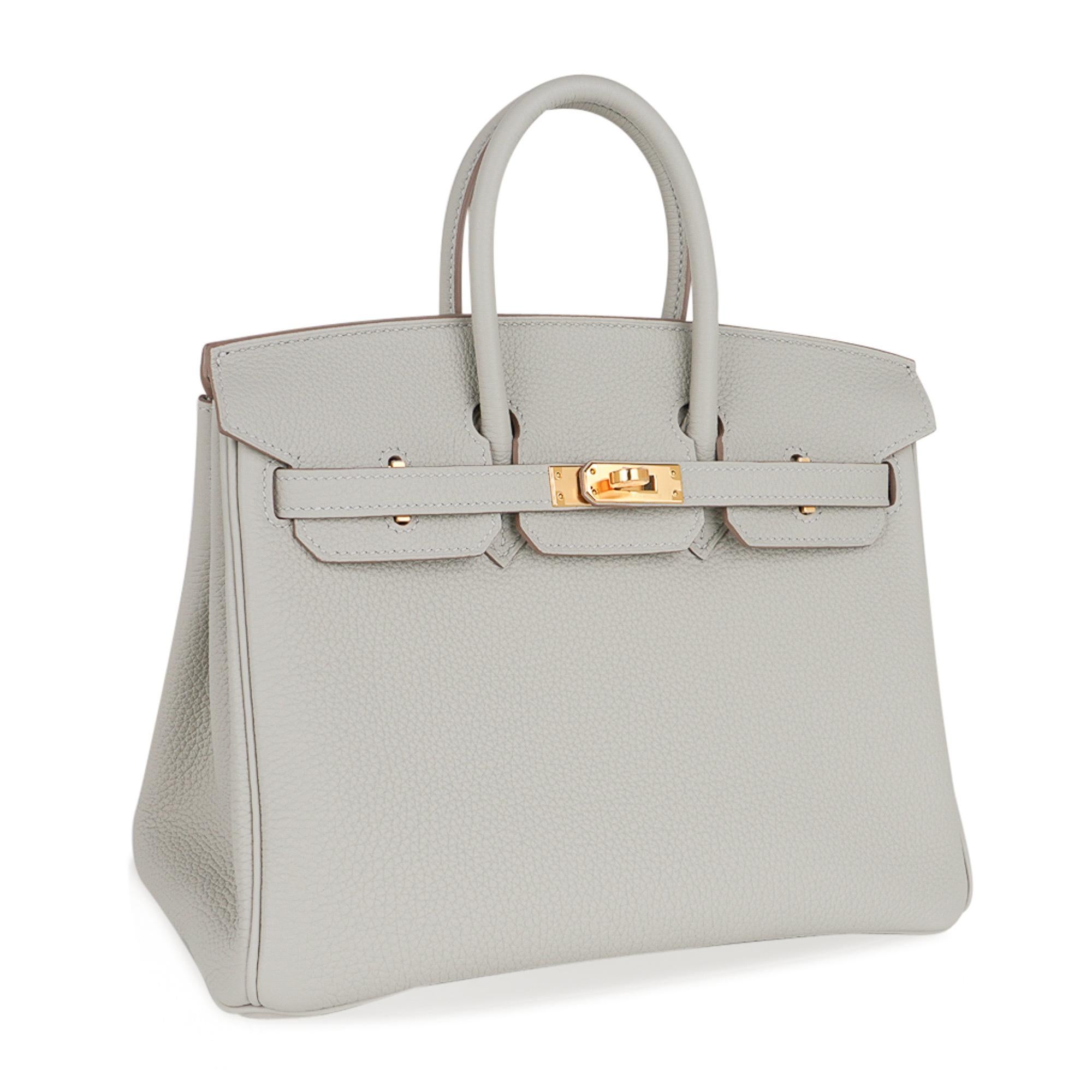 Hermes Birkin 25 Tasche Gris Perle Togo Gold Hardware im Zustand „Neu“ in Miami, FL