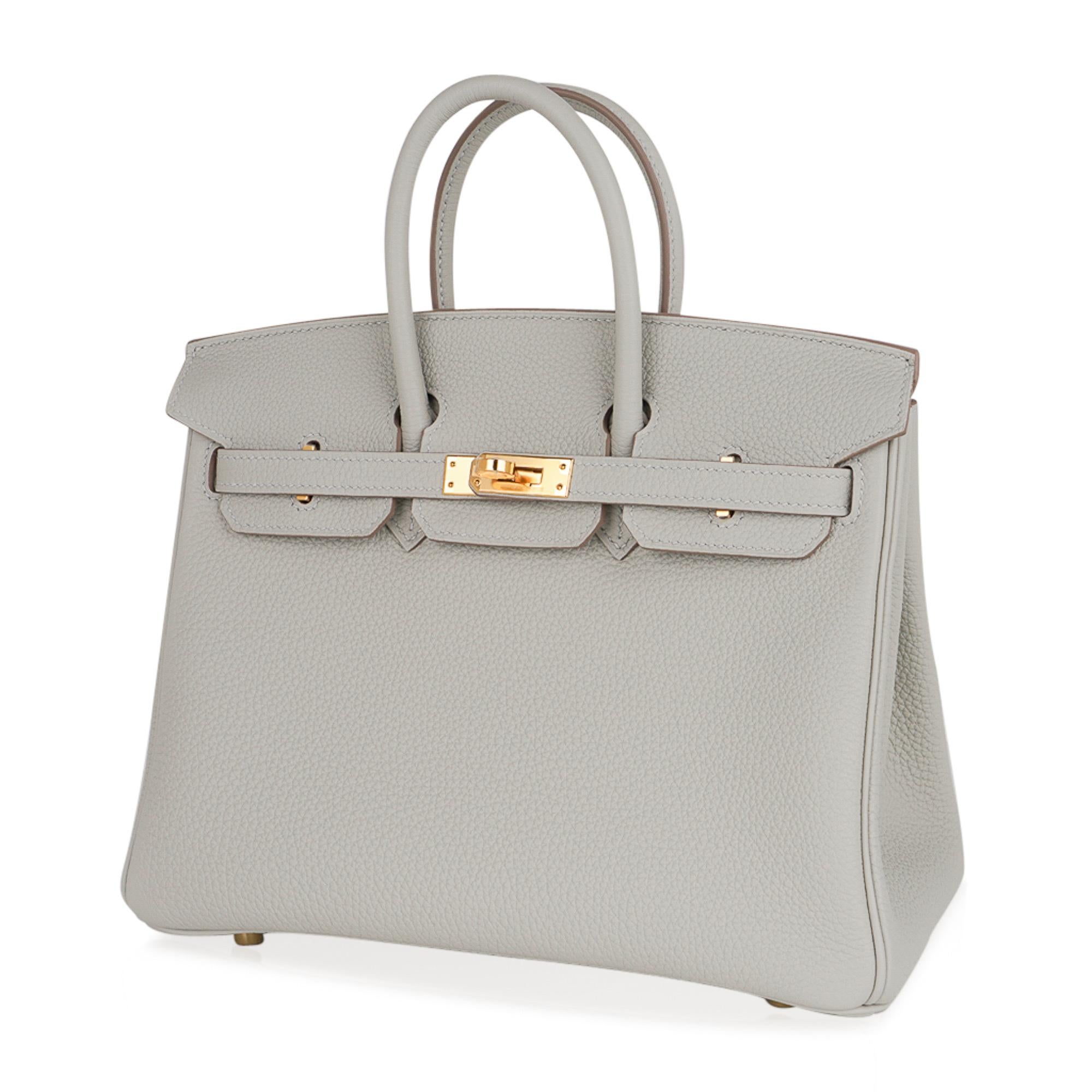 Hermes Birkin 25 Tasche Gris Perle Togo Gold Hardware 1