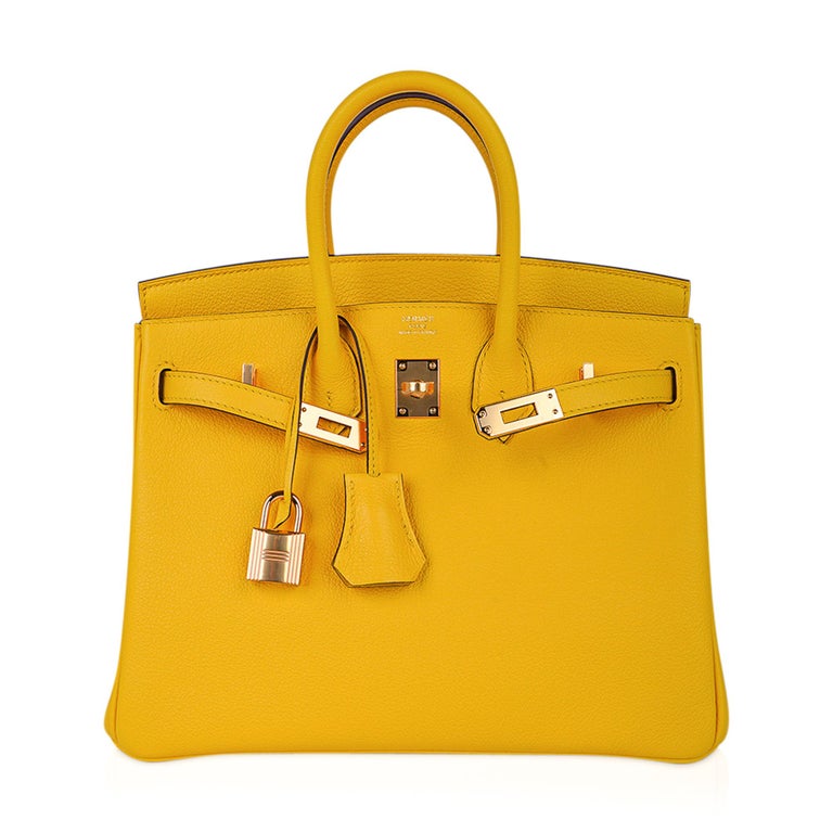 Hermes Birkin 25 Bag Jaune de Naples Novillo Leather Gold Hardware at  1stDibs | a birkin purse, birkin 25 price, how much is a birkin bag 2022