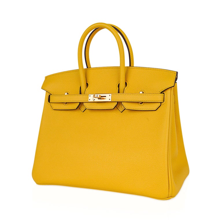Hermes Birkin 25 Bag Jaune de Naples Novillo Leather Gold Hardware at  1stDibs | a birkin purse, birkin 25 price, how much is a birkin bag 2022